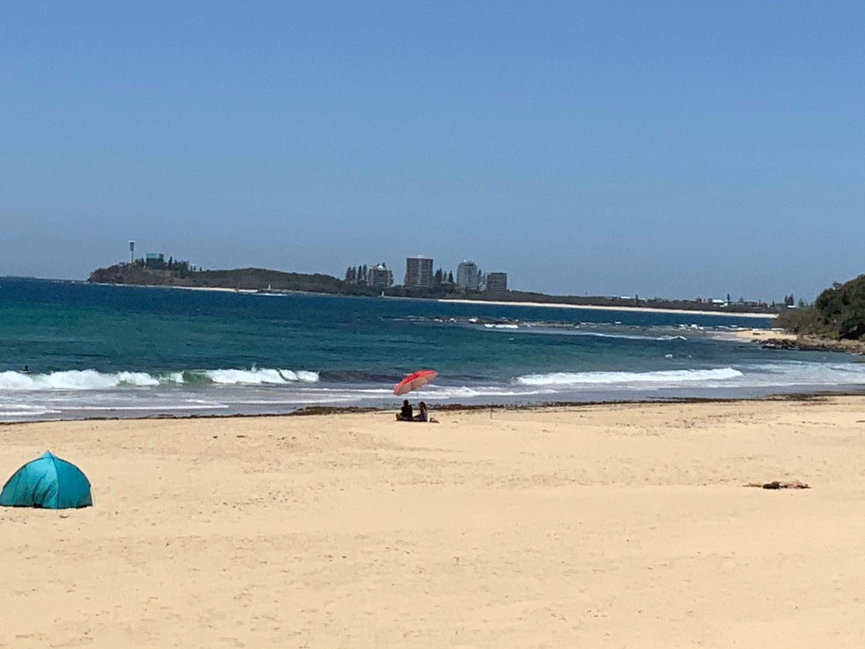 Alex beach resort unit 305