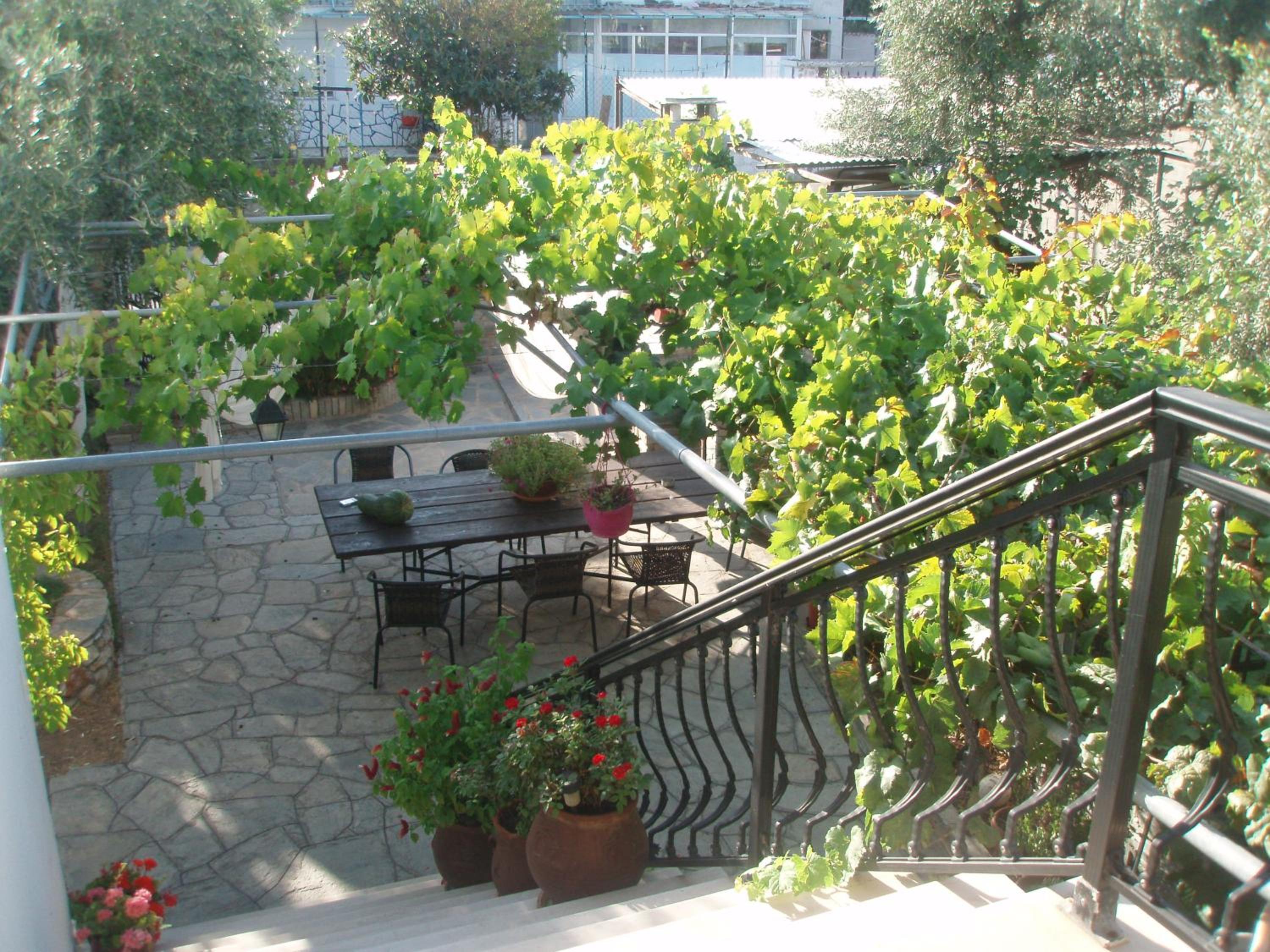 The Garden