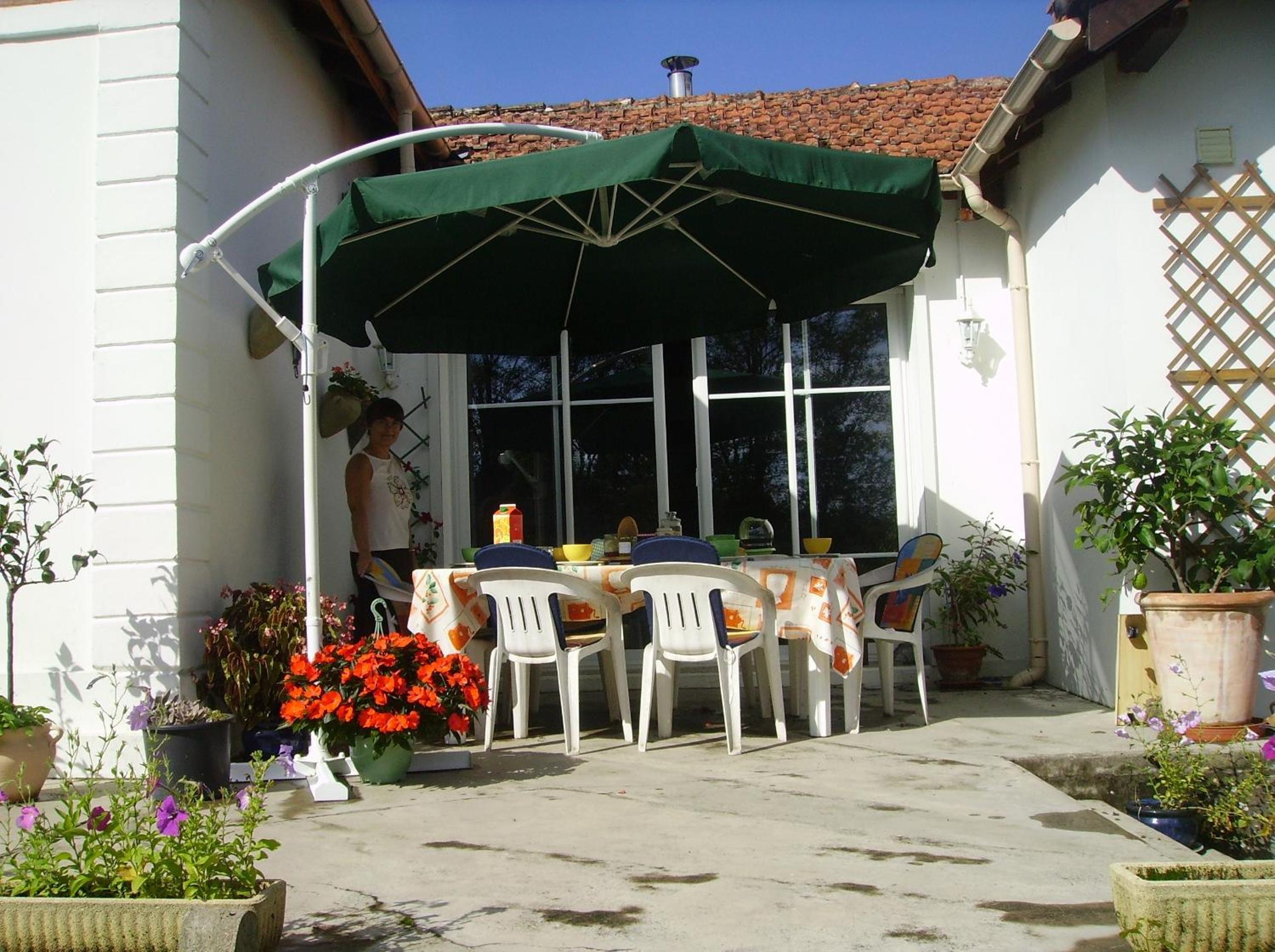 Photo 12