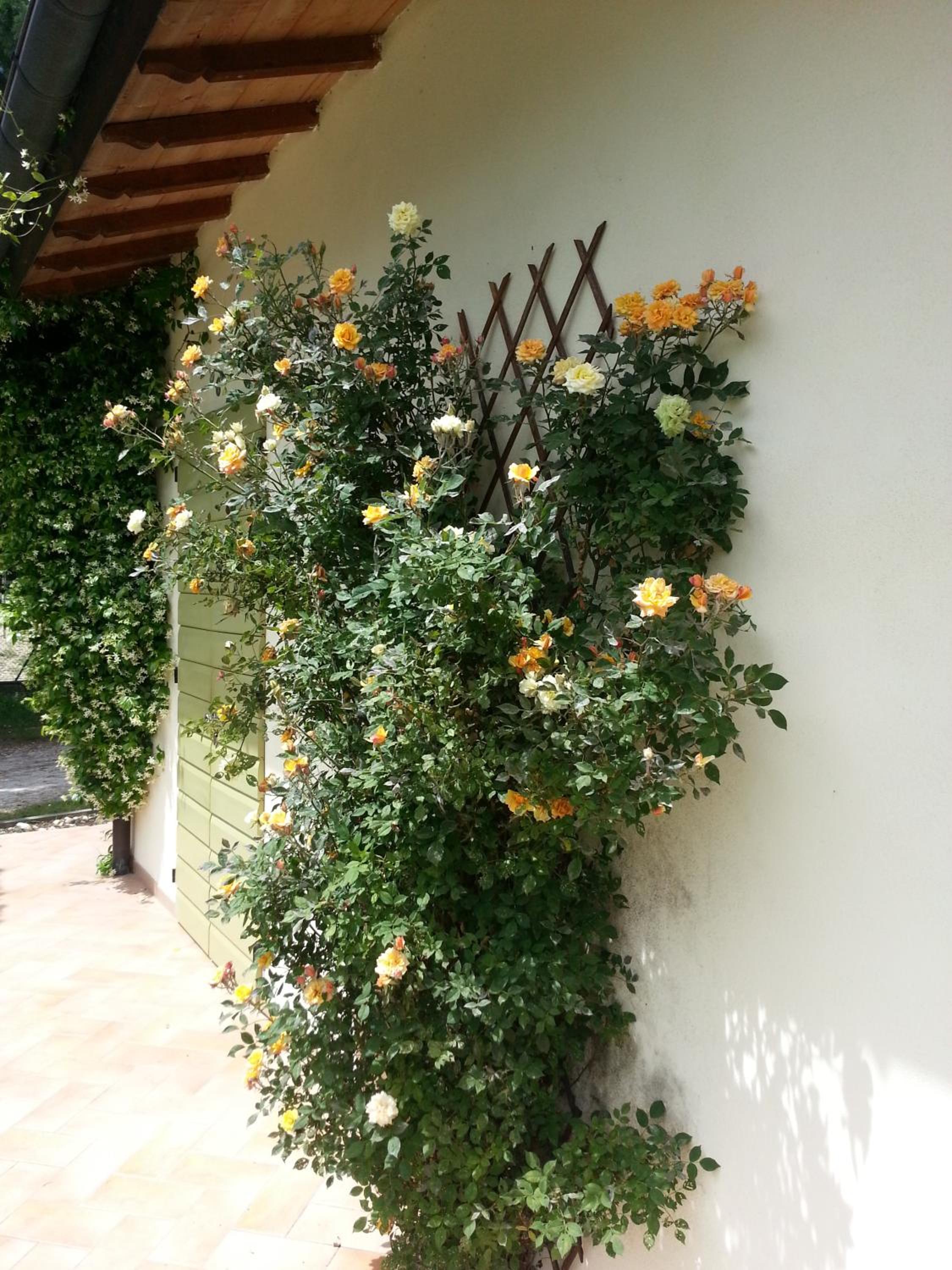 Caterina Residence