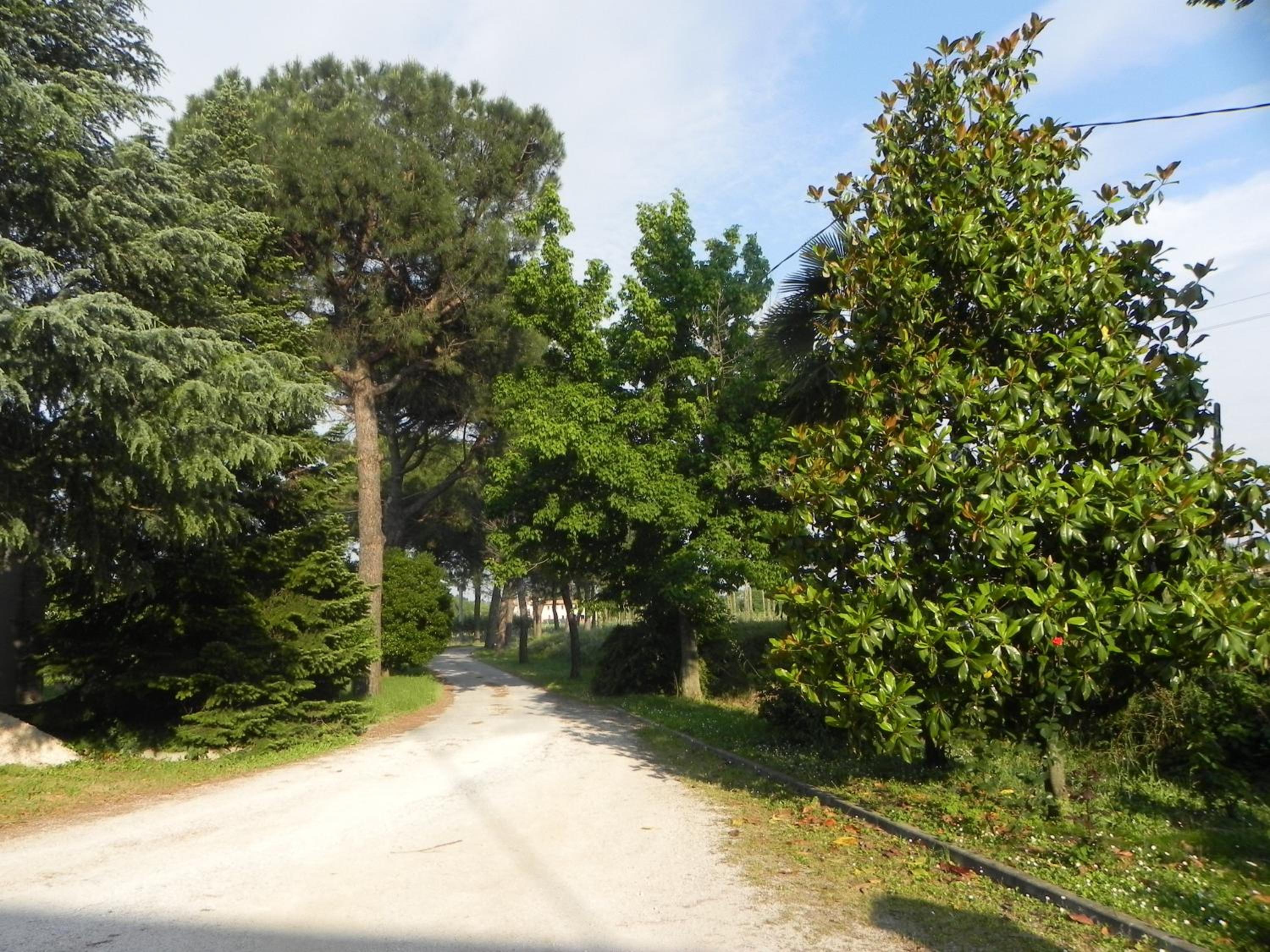 Caterina Residence