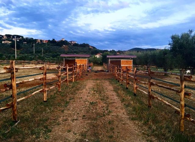 Agriturismo Quattro Pini