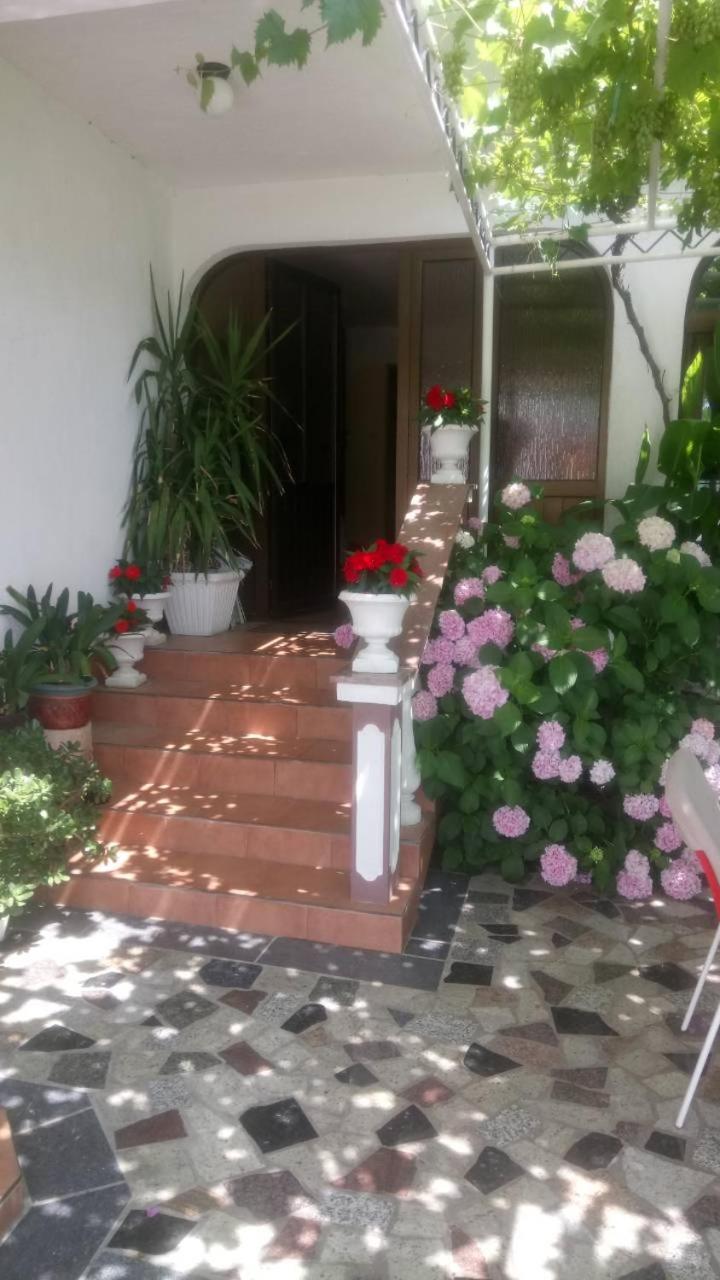 Renata Apartment view 2