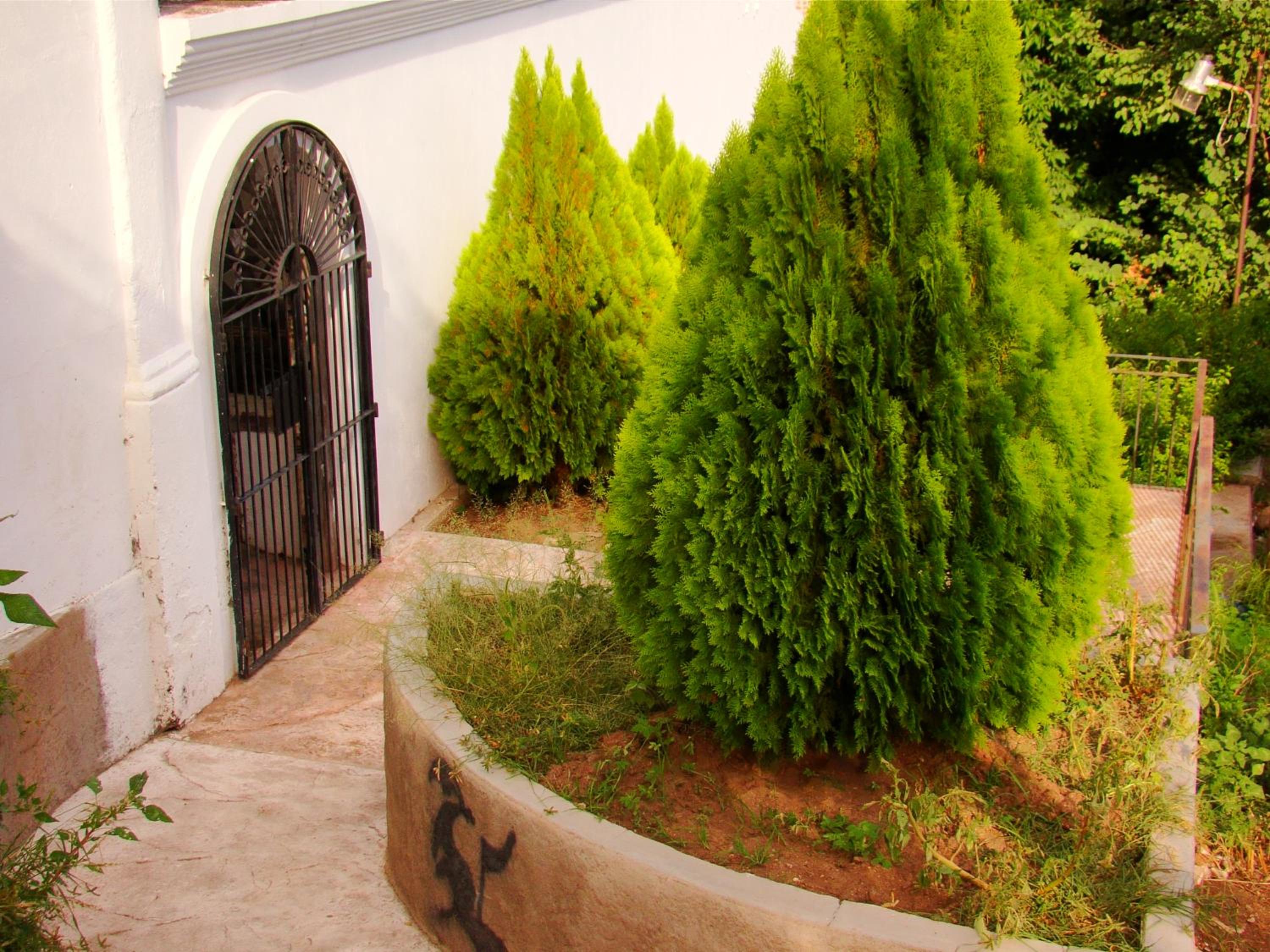 Serena Vista, photo 25
