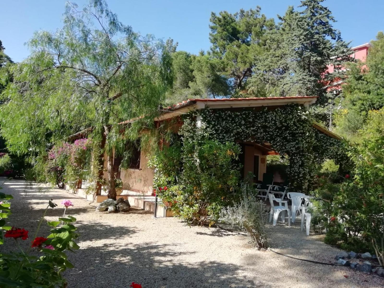 Lentisco terra e mare