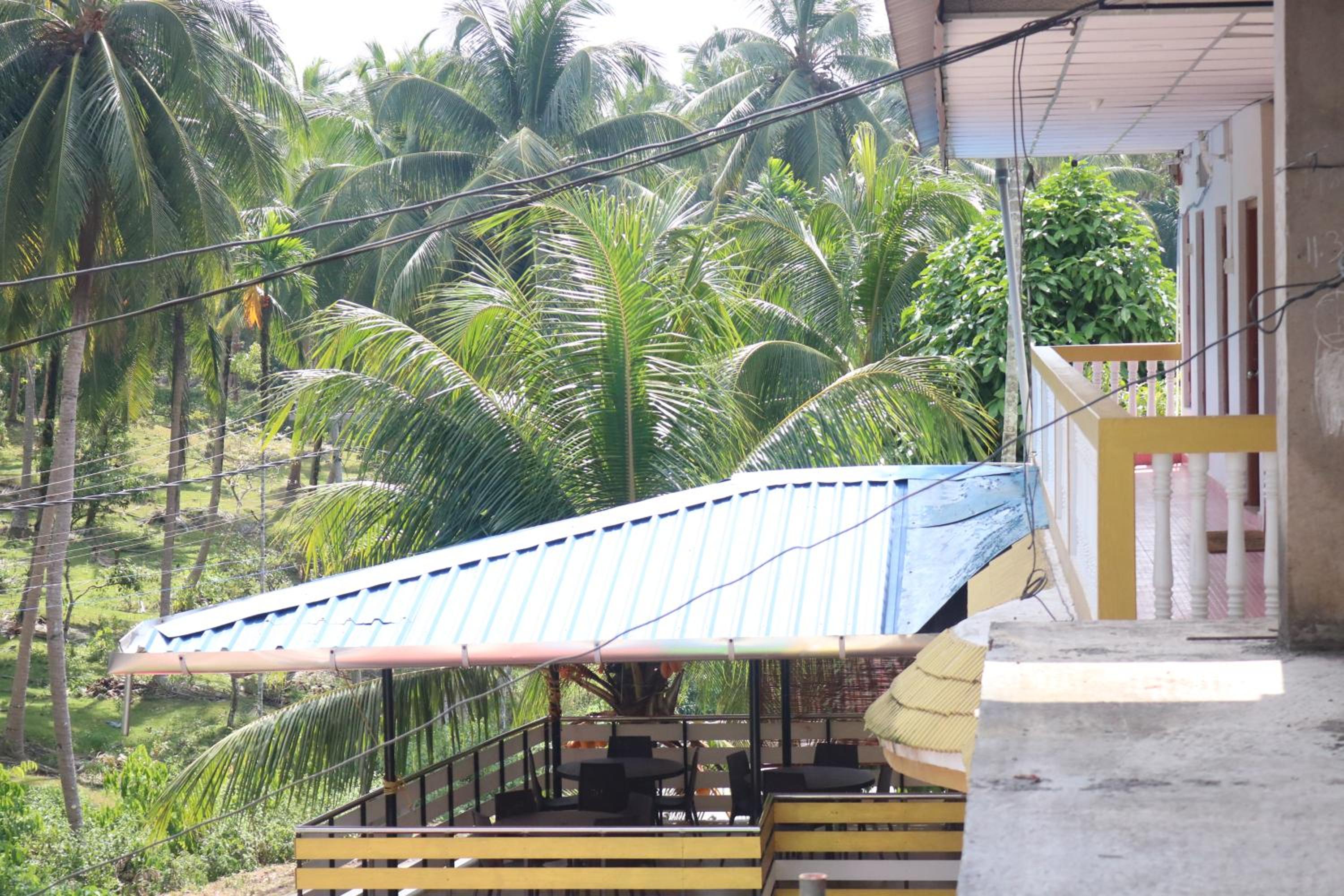 White Pearl Homestay view 4