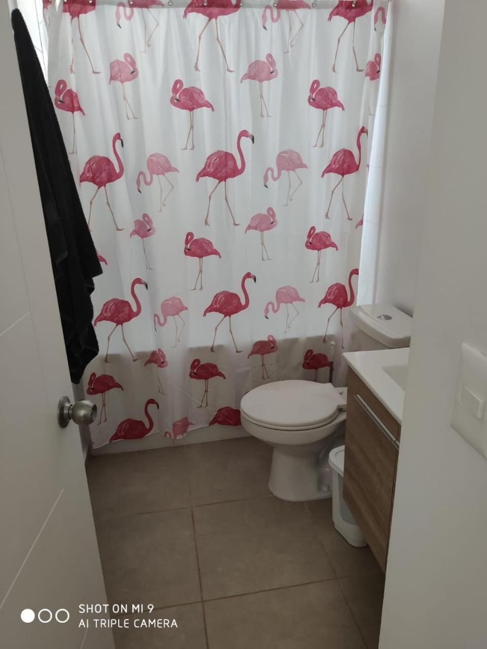 Departamento Papudo