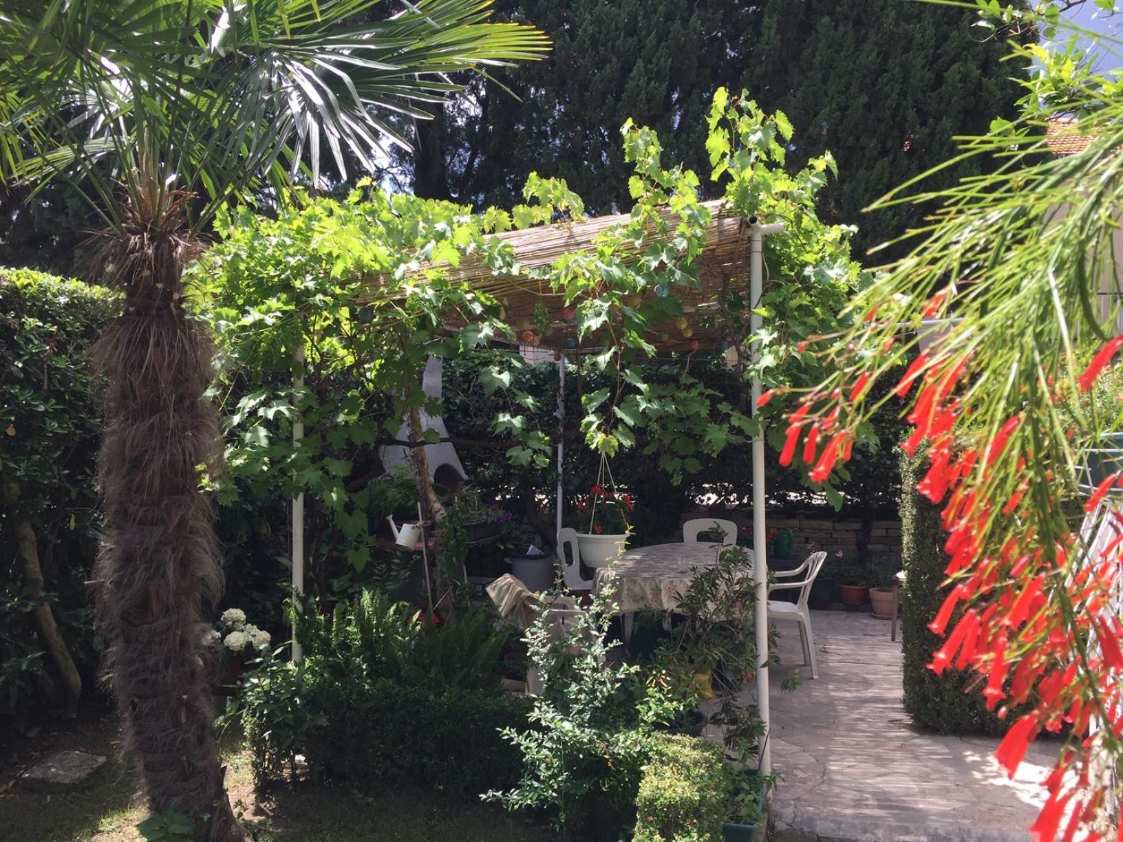 Garden Apartment view 2