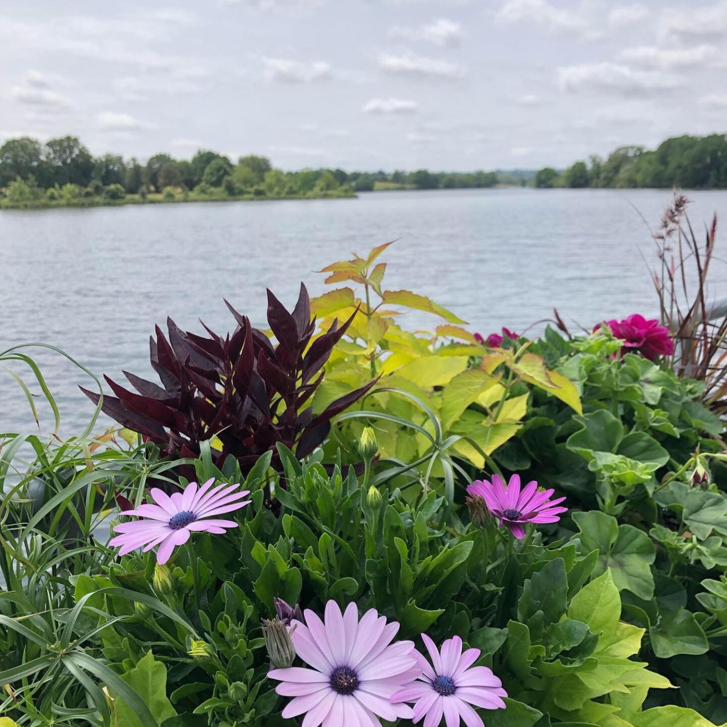 Au Rez de Jardin