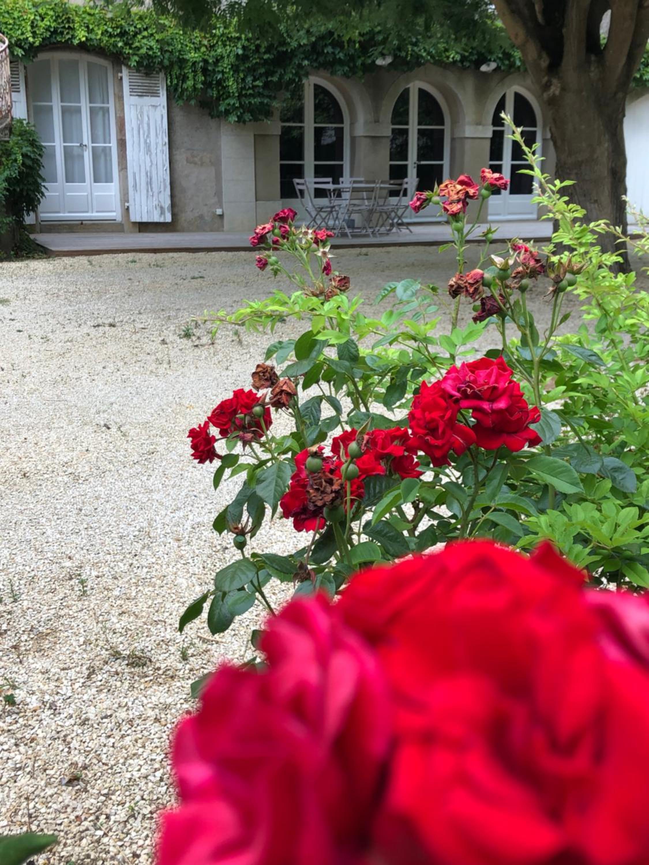 Au Rez de Jardin view 5