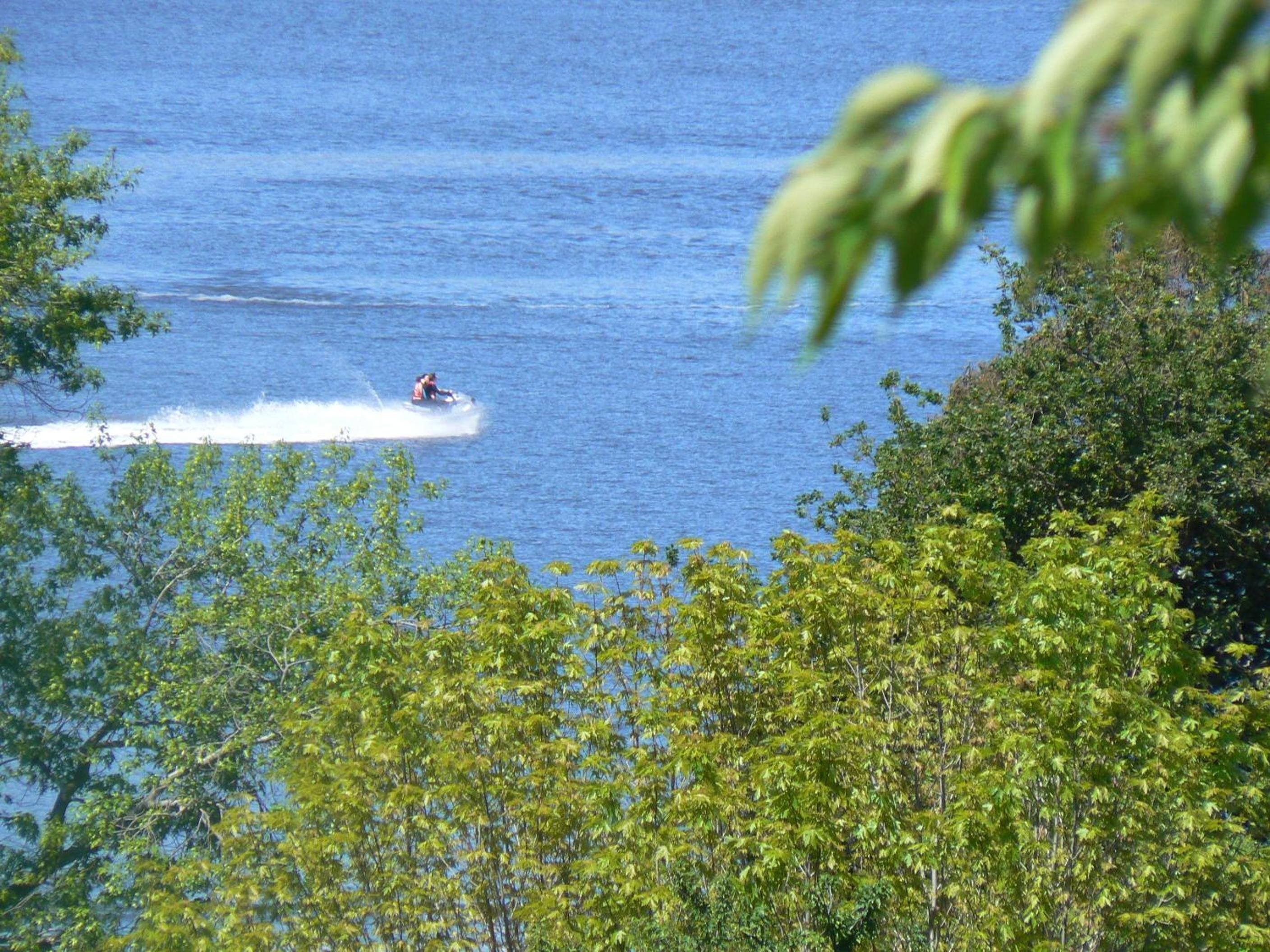 Photo 42