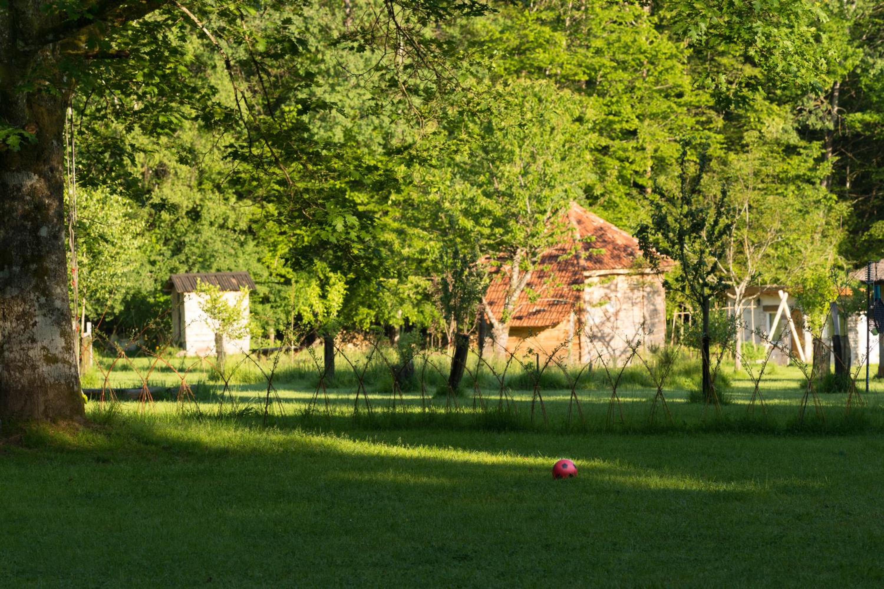 La Clairière du Verbamont