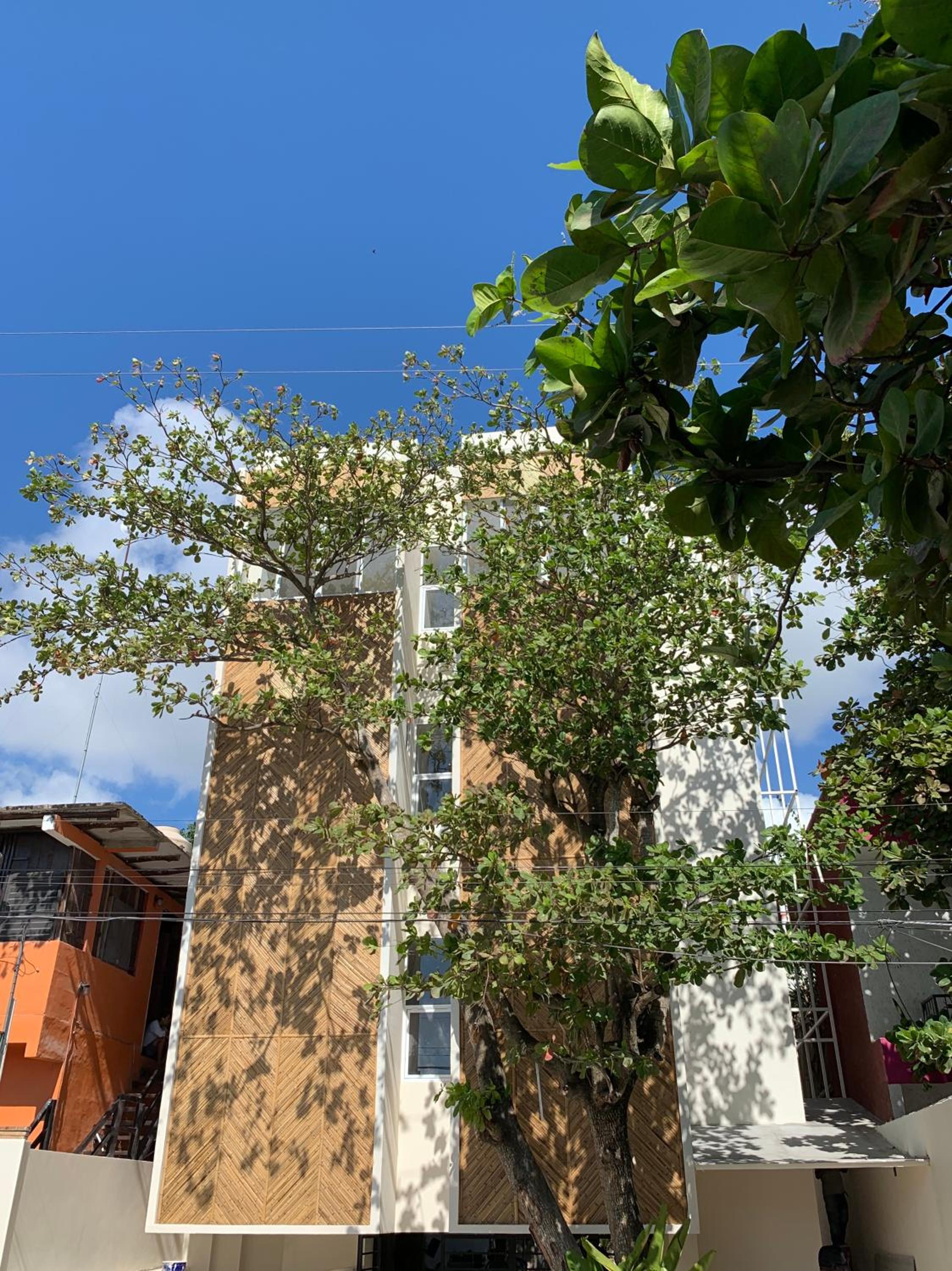 oOstel Smart Hostel - Tulum Pueblo 照片第 24 張，共 72 張