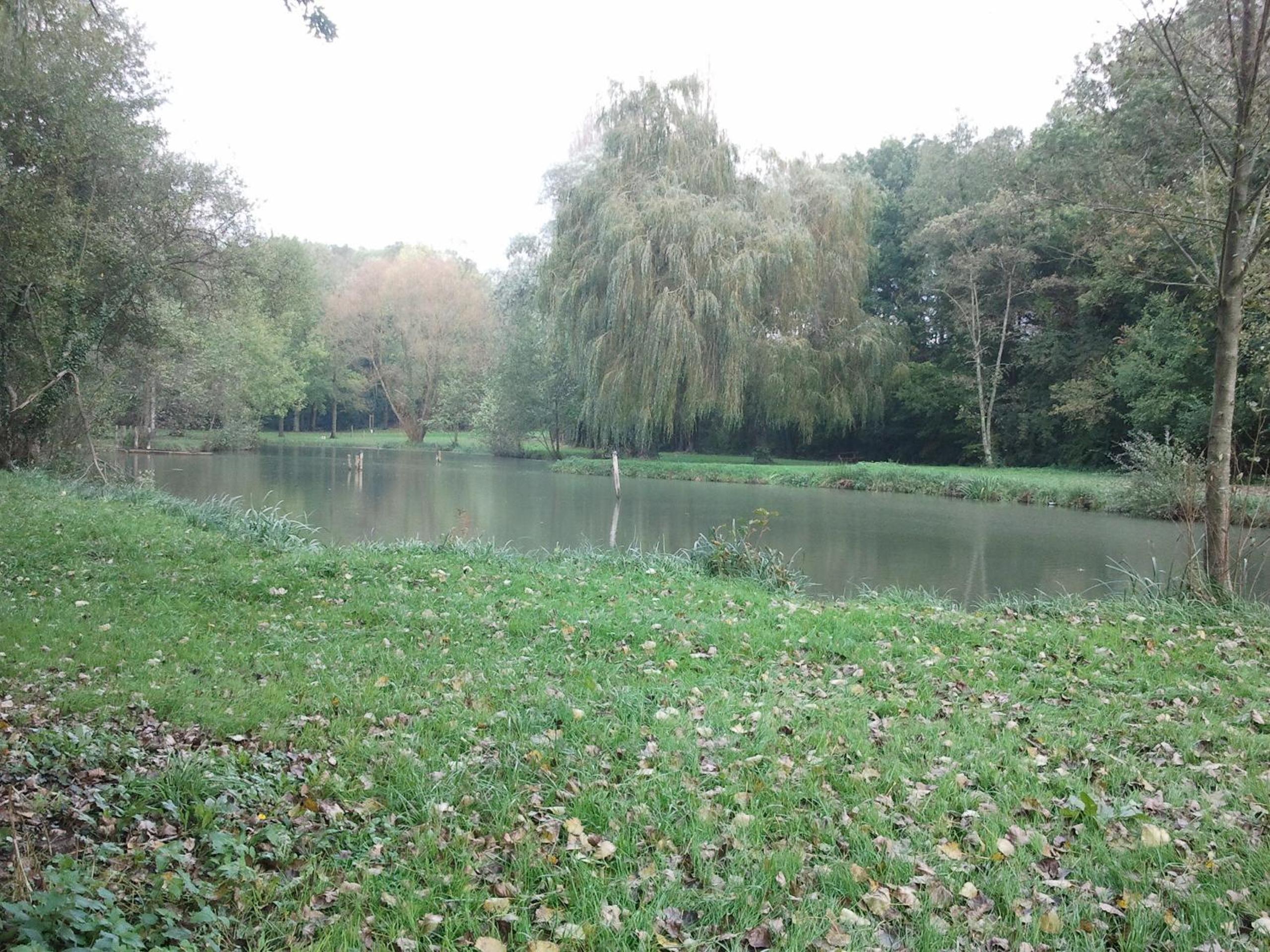 Photo 19