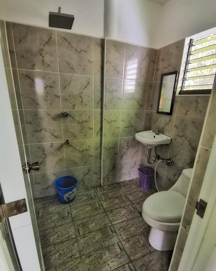 Happy bear moalboal budget rooms
