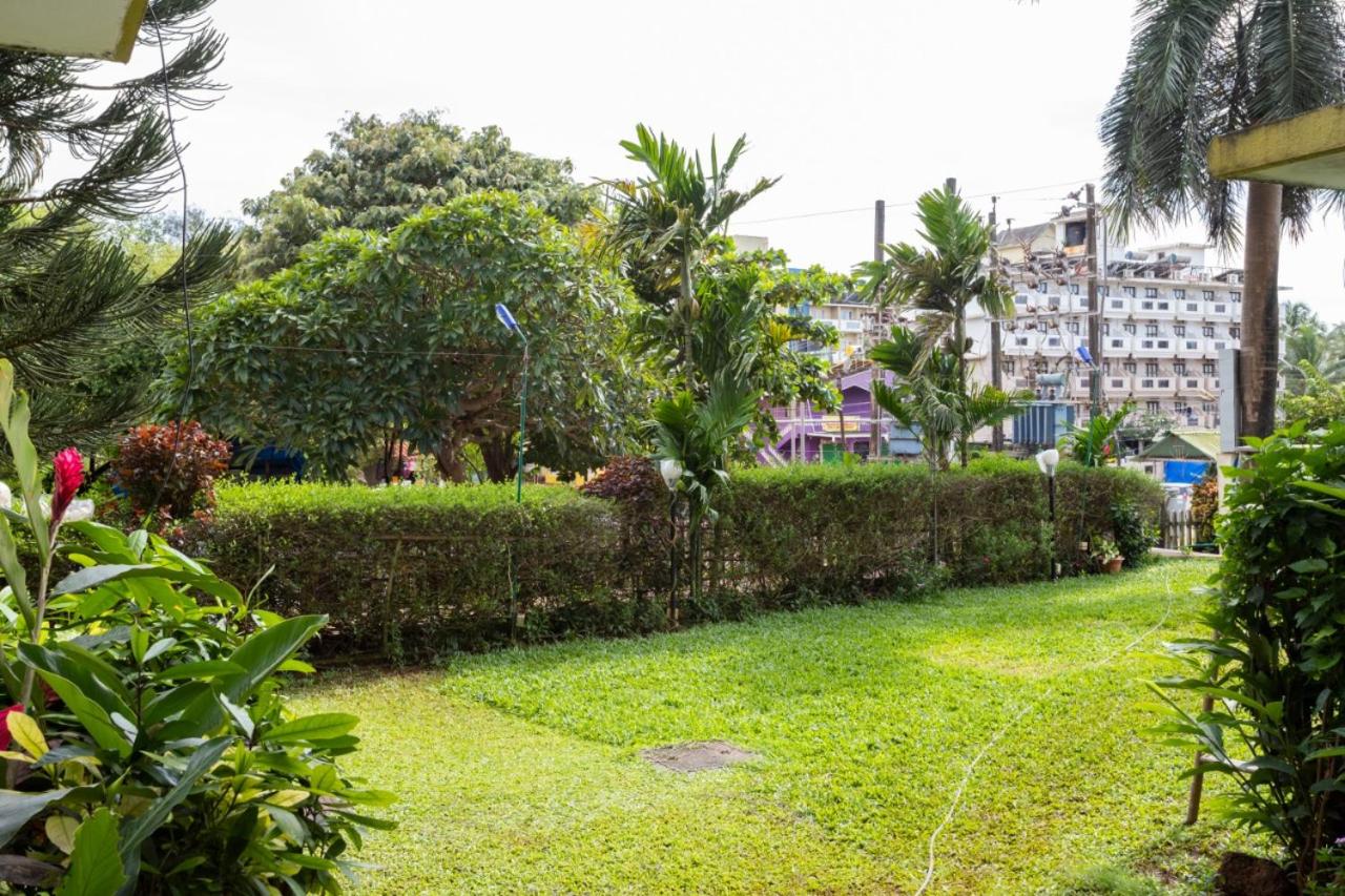 Jia Calangute Goa view 5