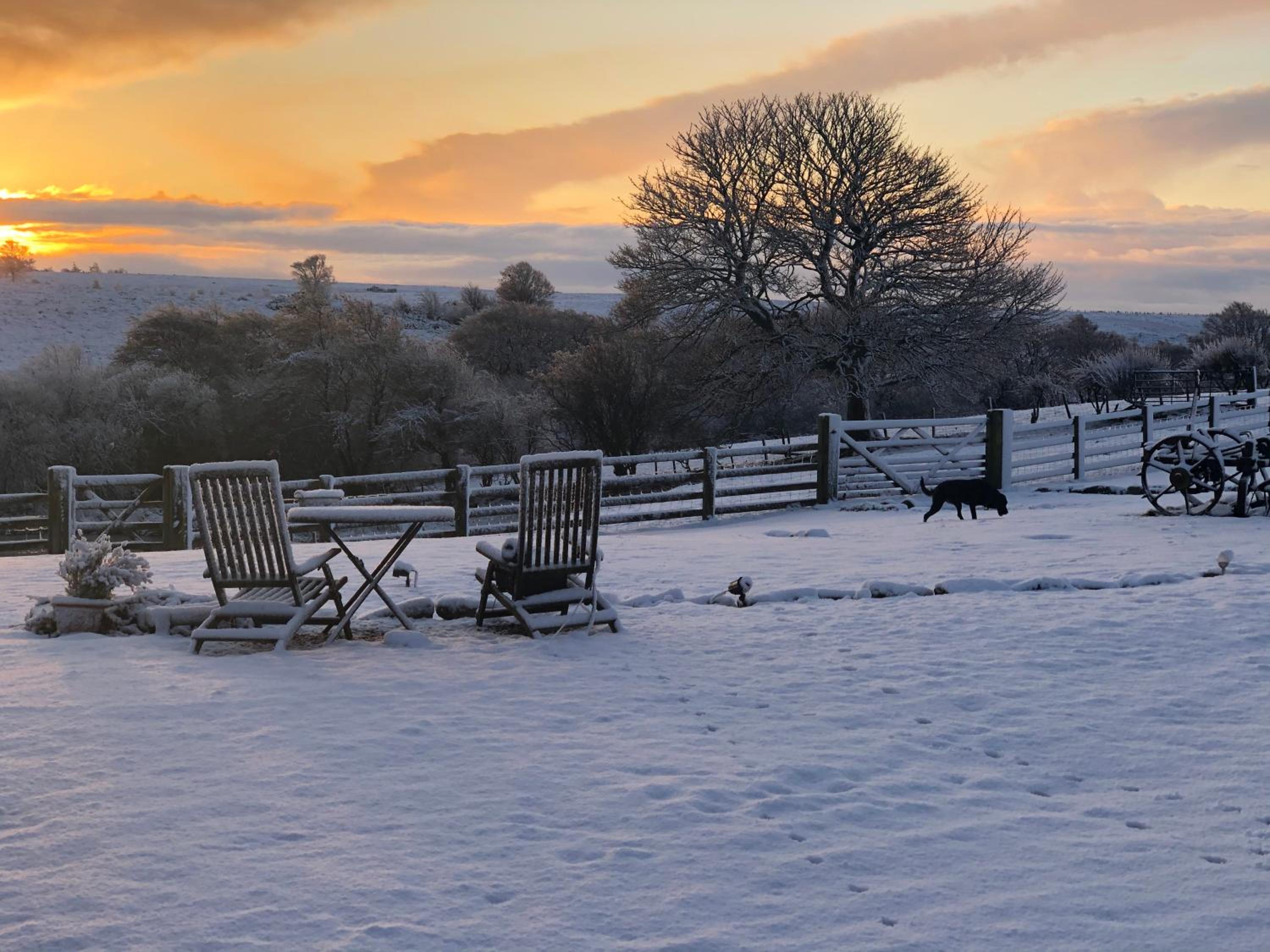 Folly Hall Farm