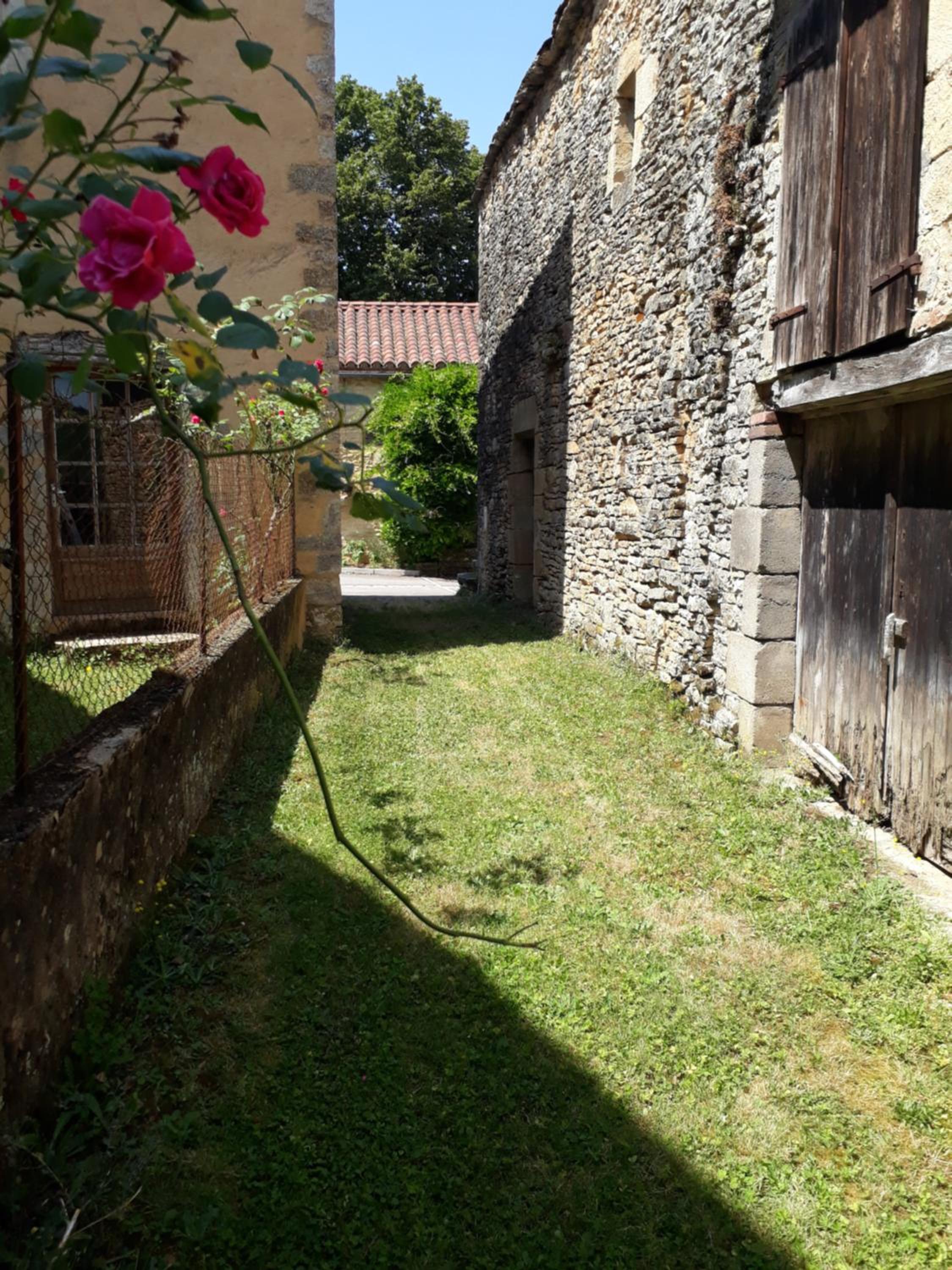 Photo 20