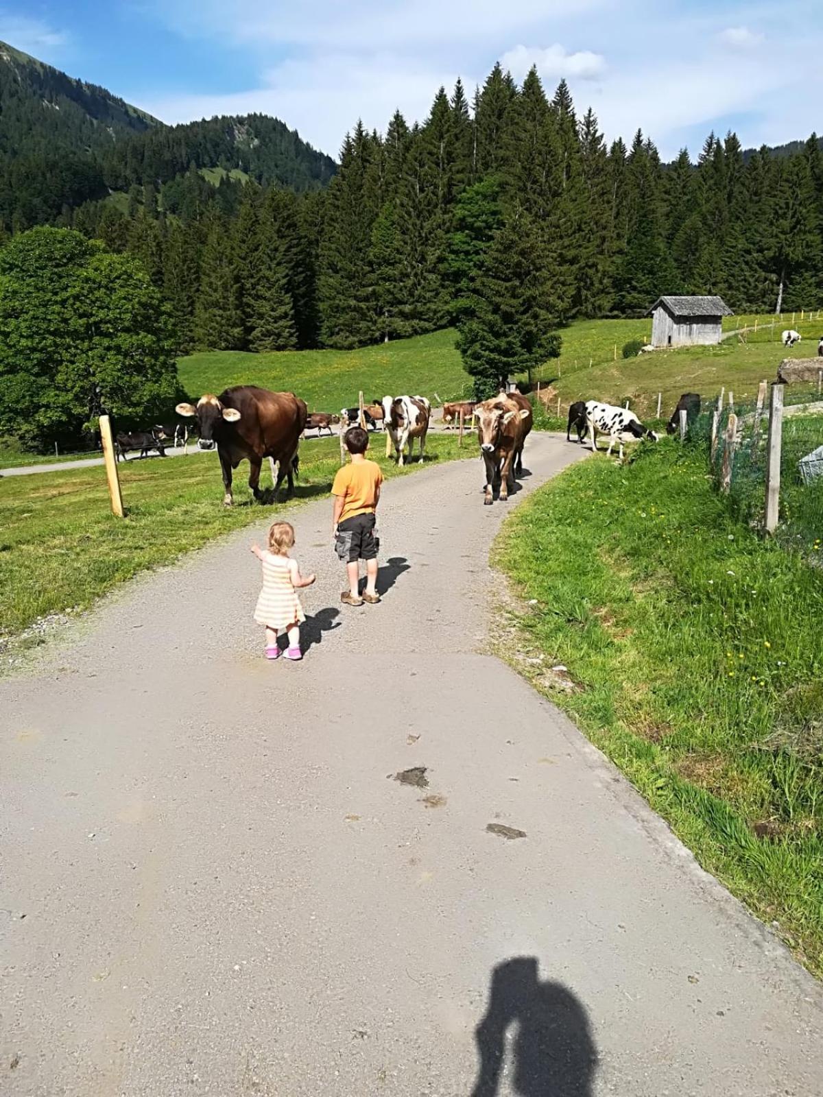 Jausenstation Neuschwand
