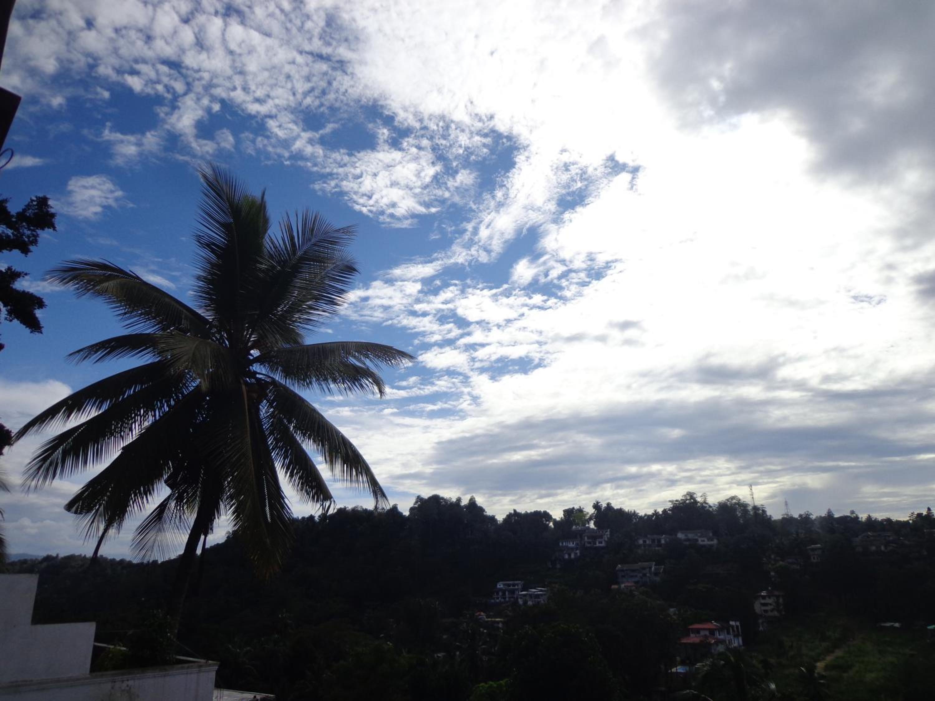 Nisha homestay inn