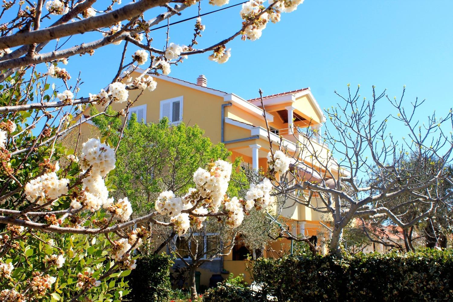 Apartments Mediterraneo - with own parking space view 2