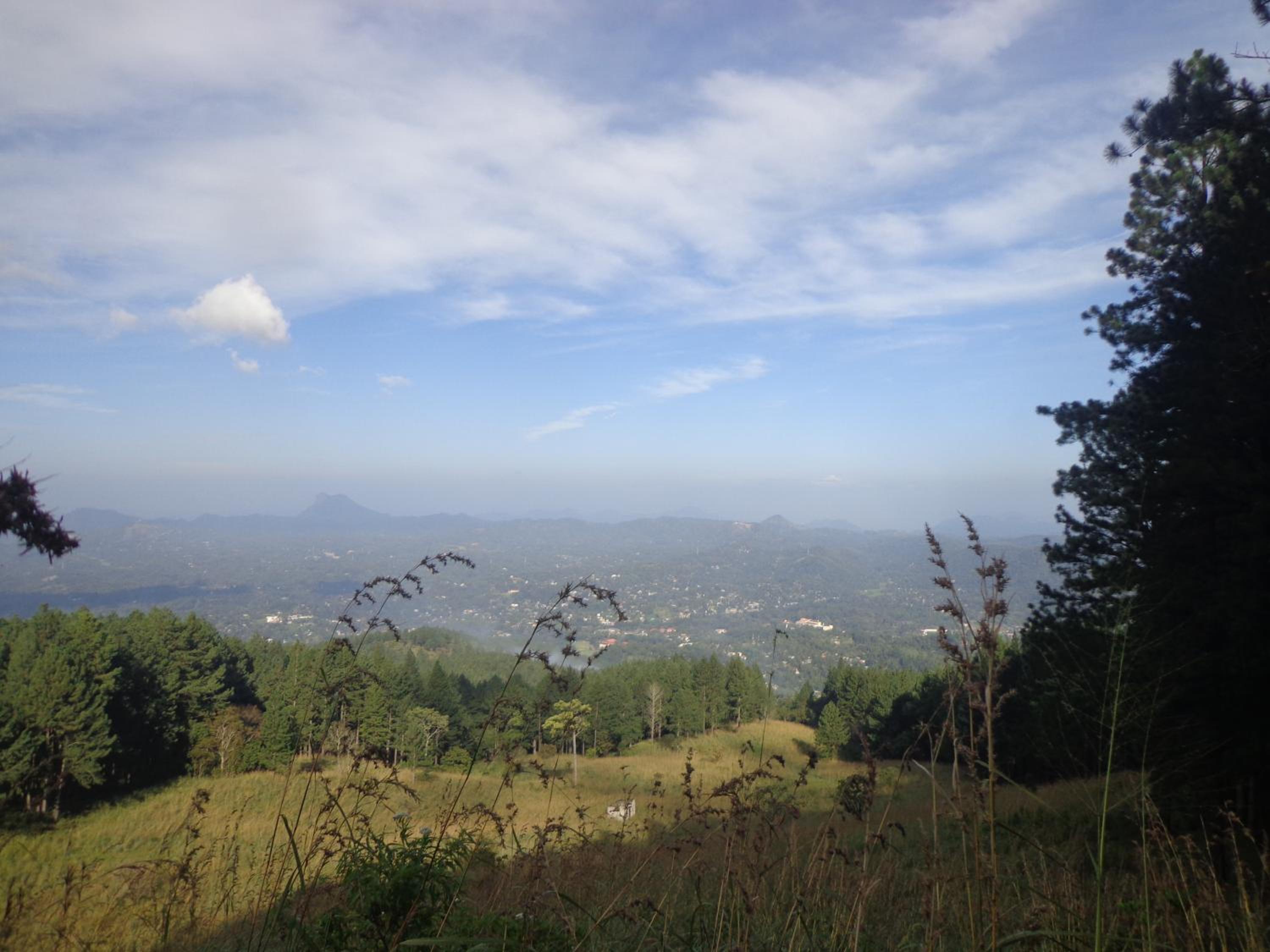 Nisha homestay inn