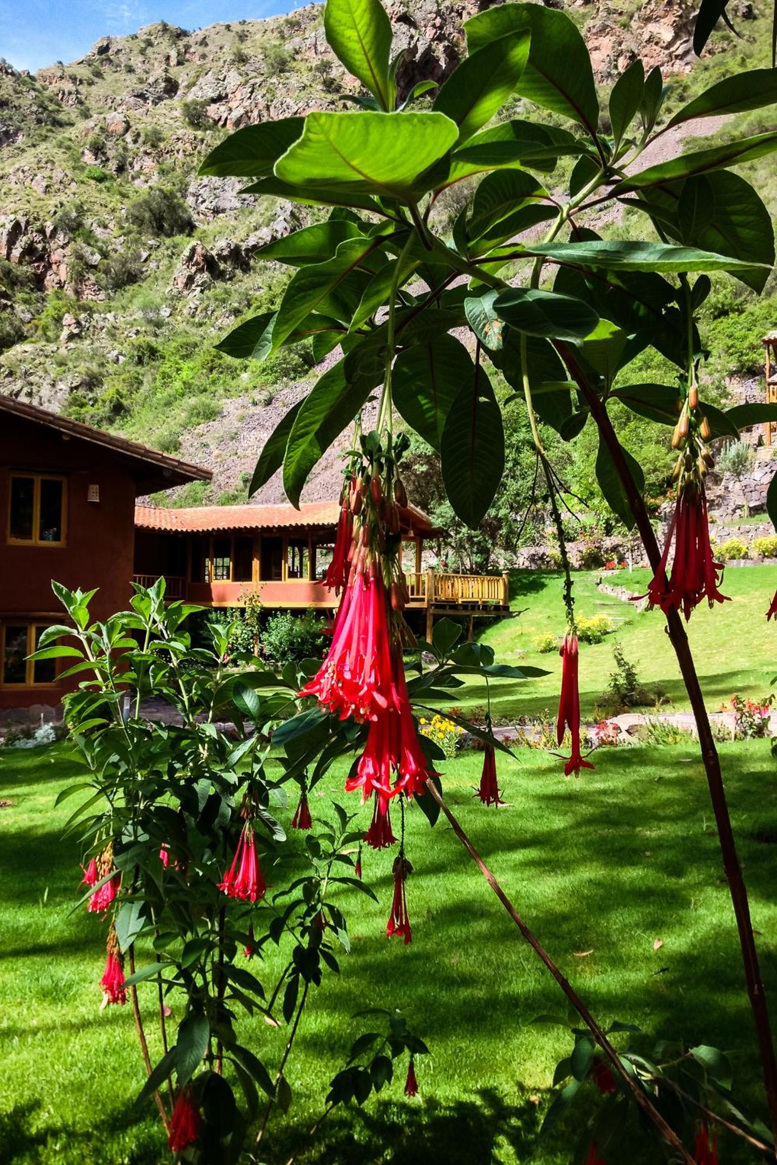 Sacred Dreams Lodge 6
