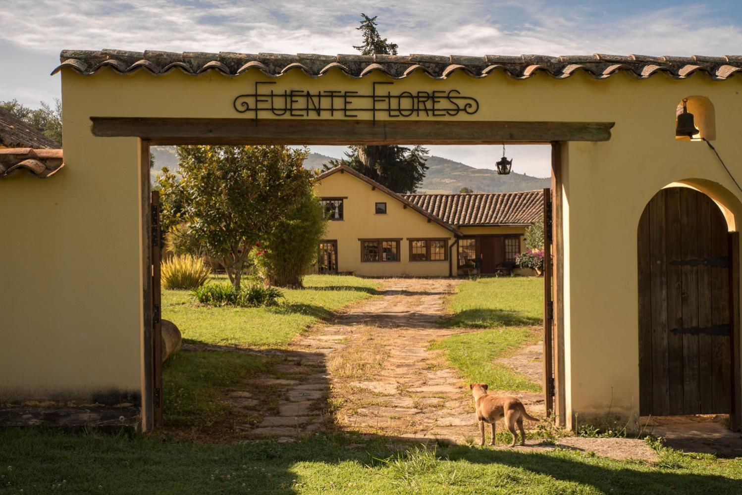 FUENTE FLORES -Casa de campo-