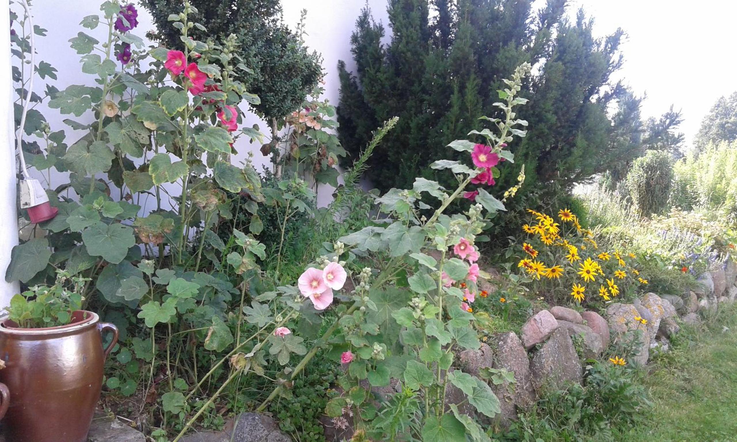 Photo 72