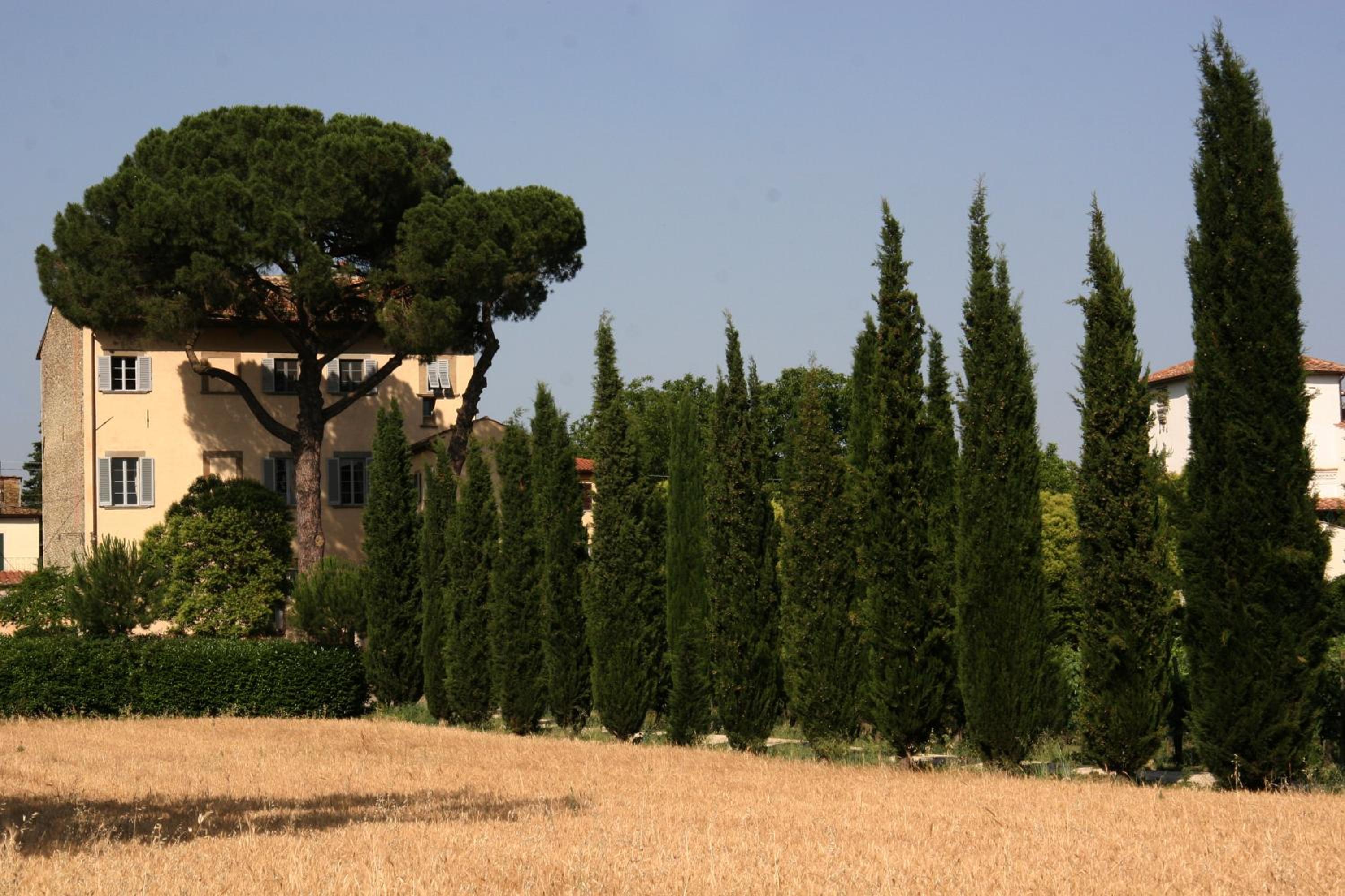 Villa Guadagni Cappelli