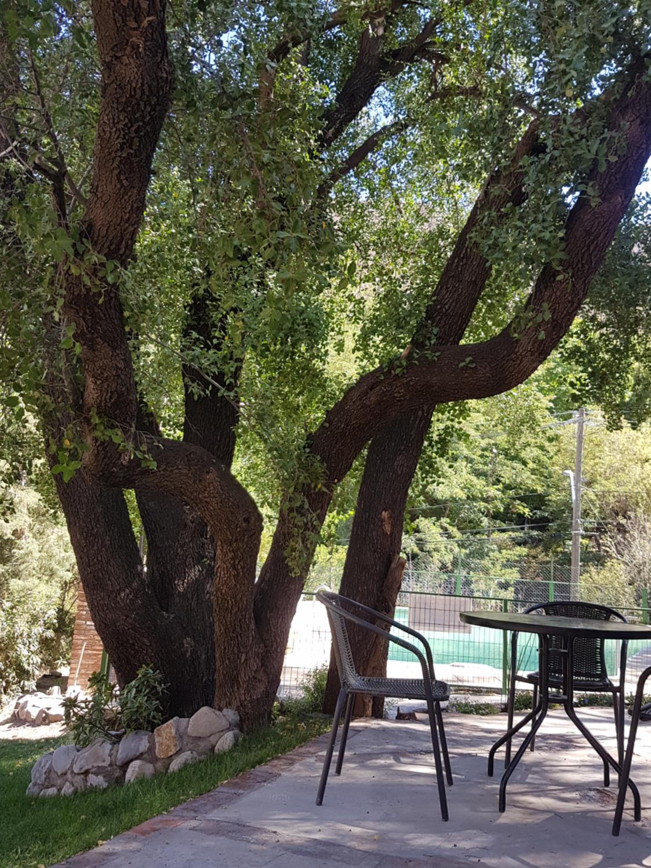 Hostal Los Peñones