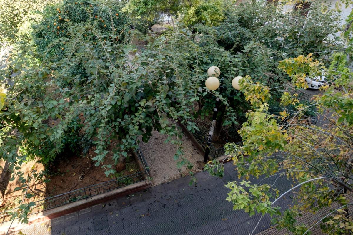 Athens Olive House