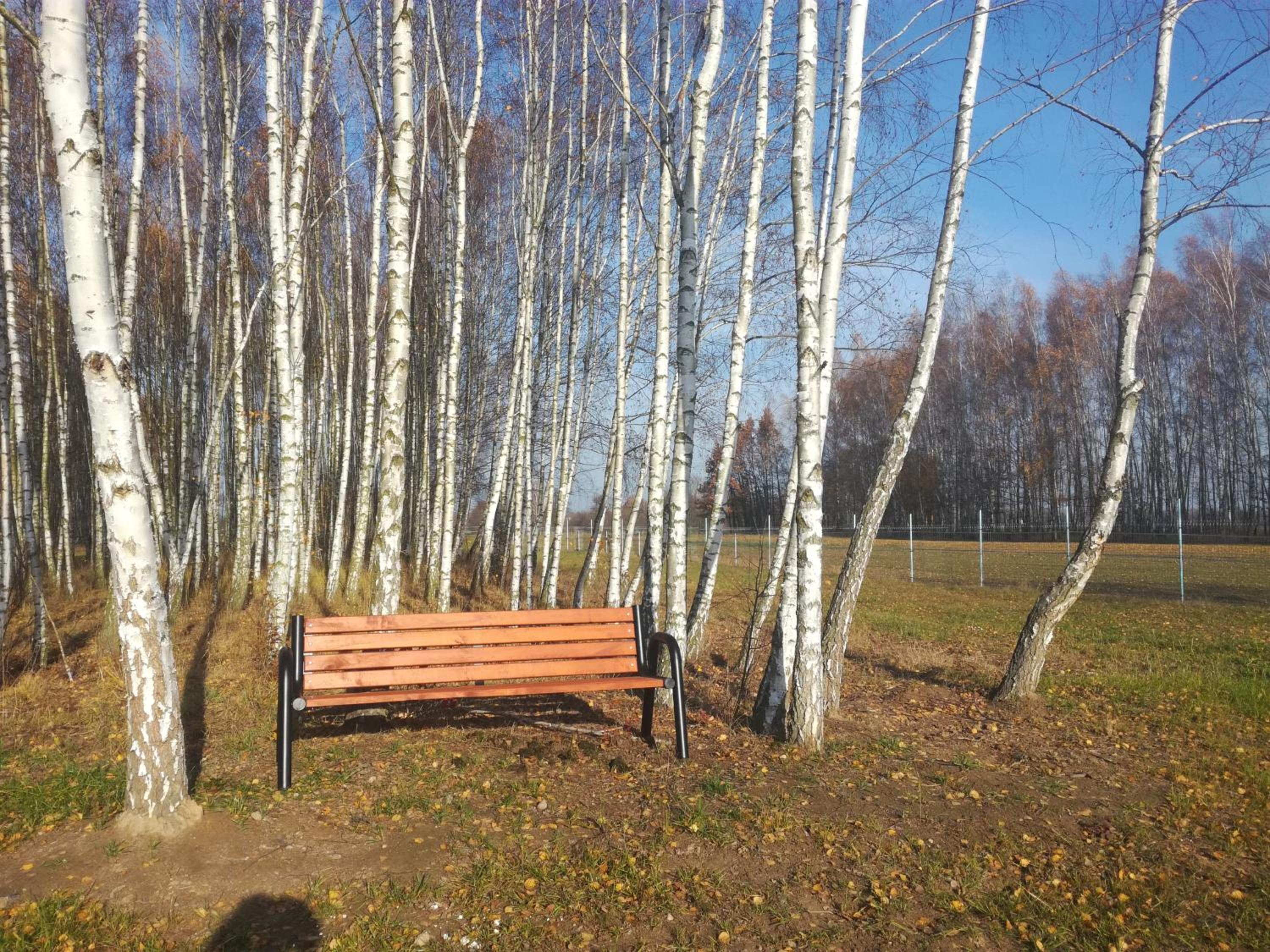 Photo 47
