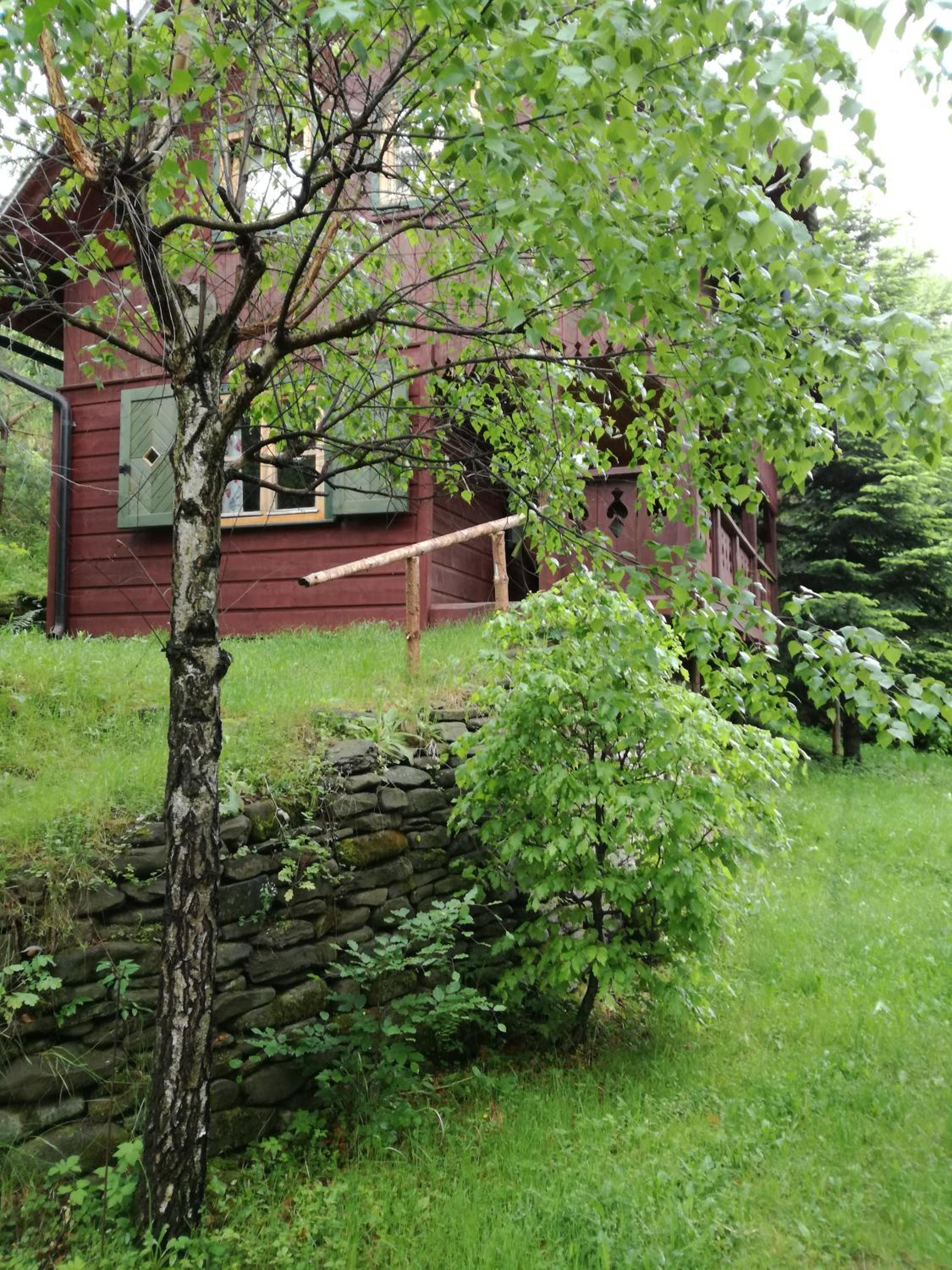 Photo 21