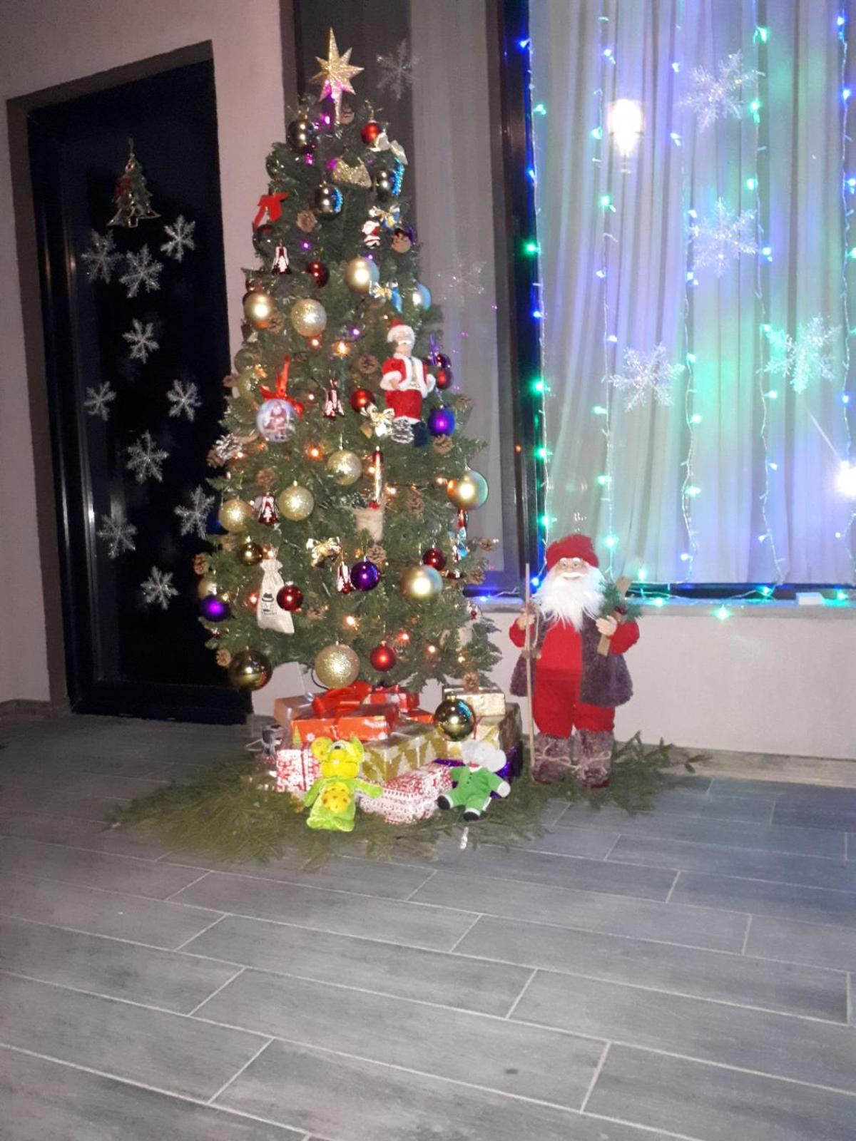 House Lia view 5