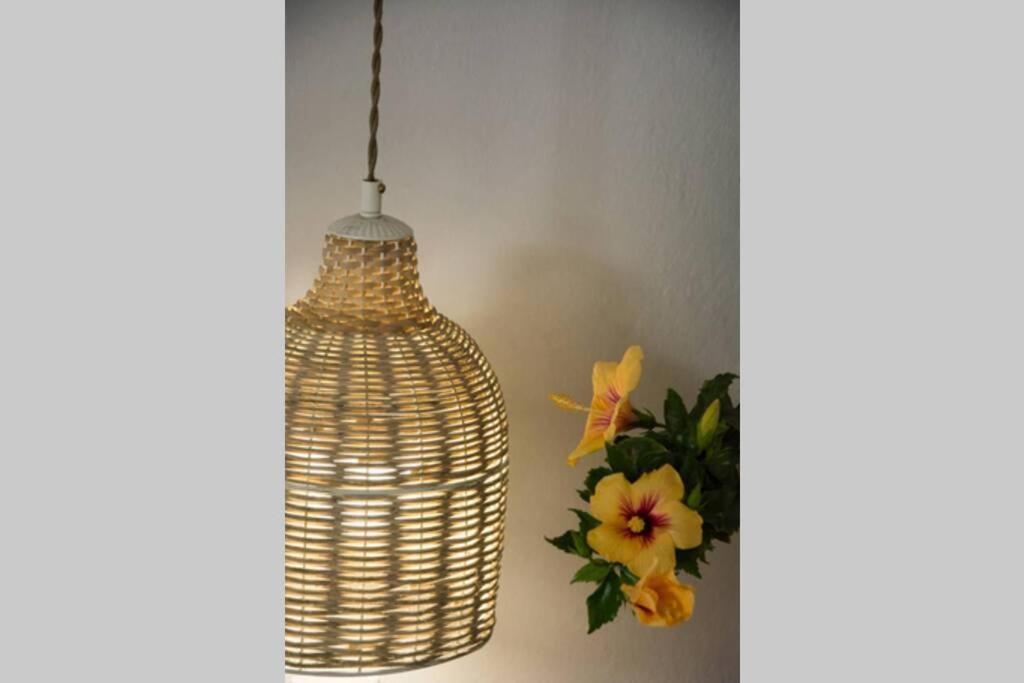 Traditional Cycladic Beauty view 3