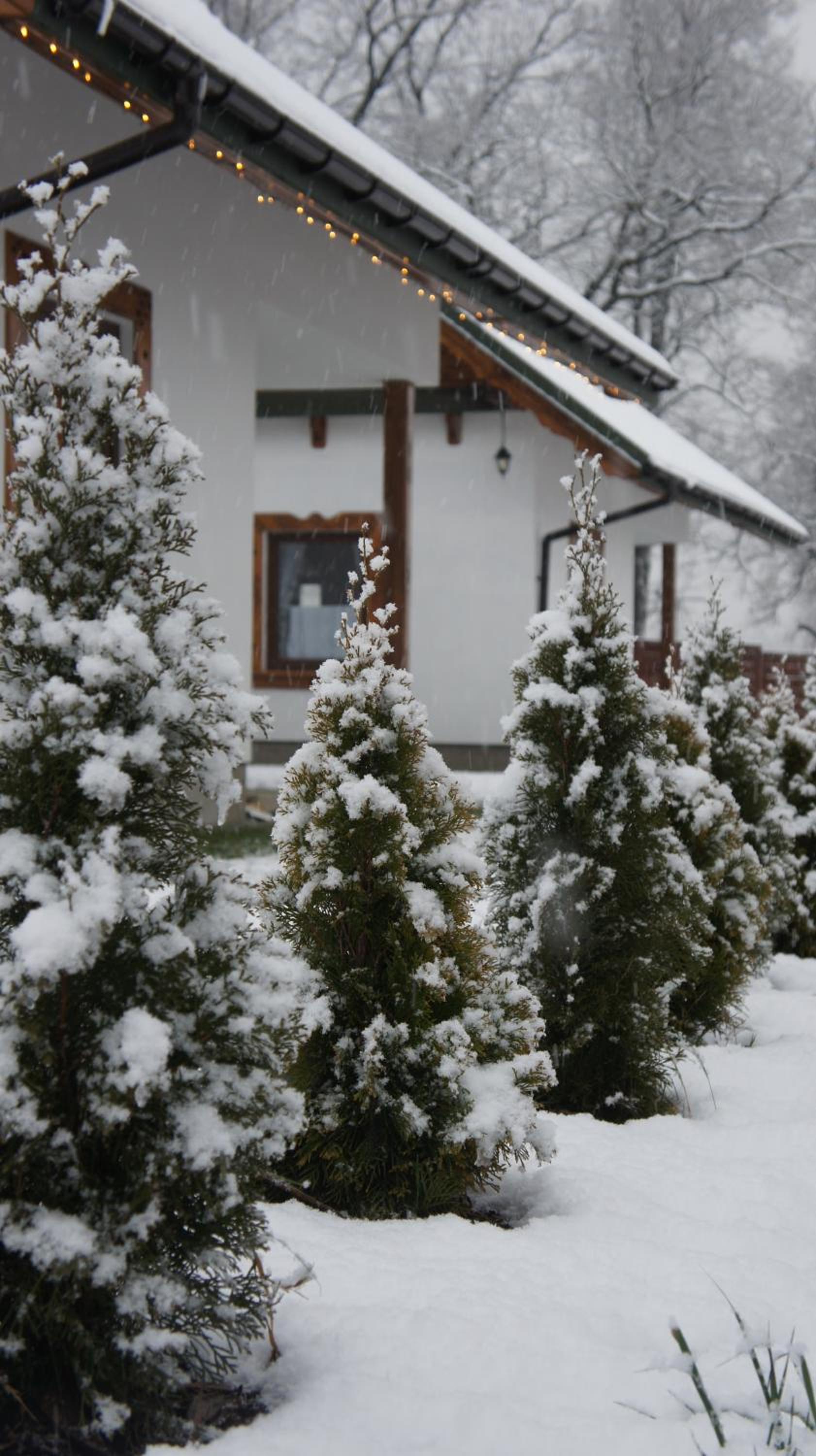 Na Szlaku - domki do wynajęcia