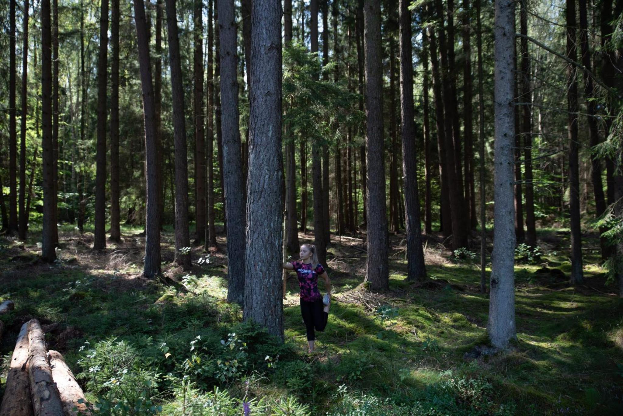 Agroturystyka "Dobre czasy" view 5