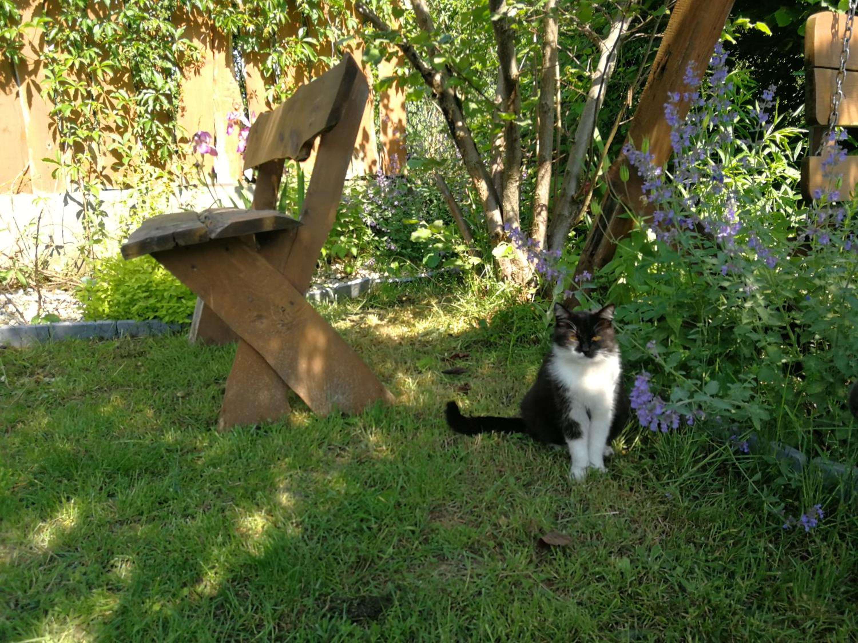 Photo 48