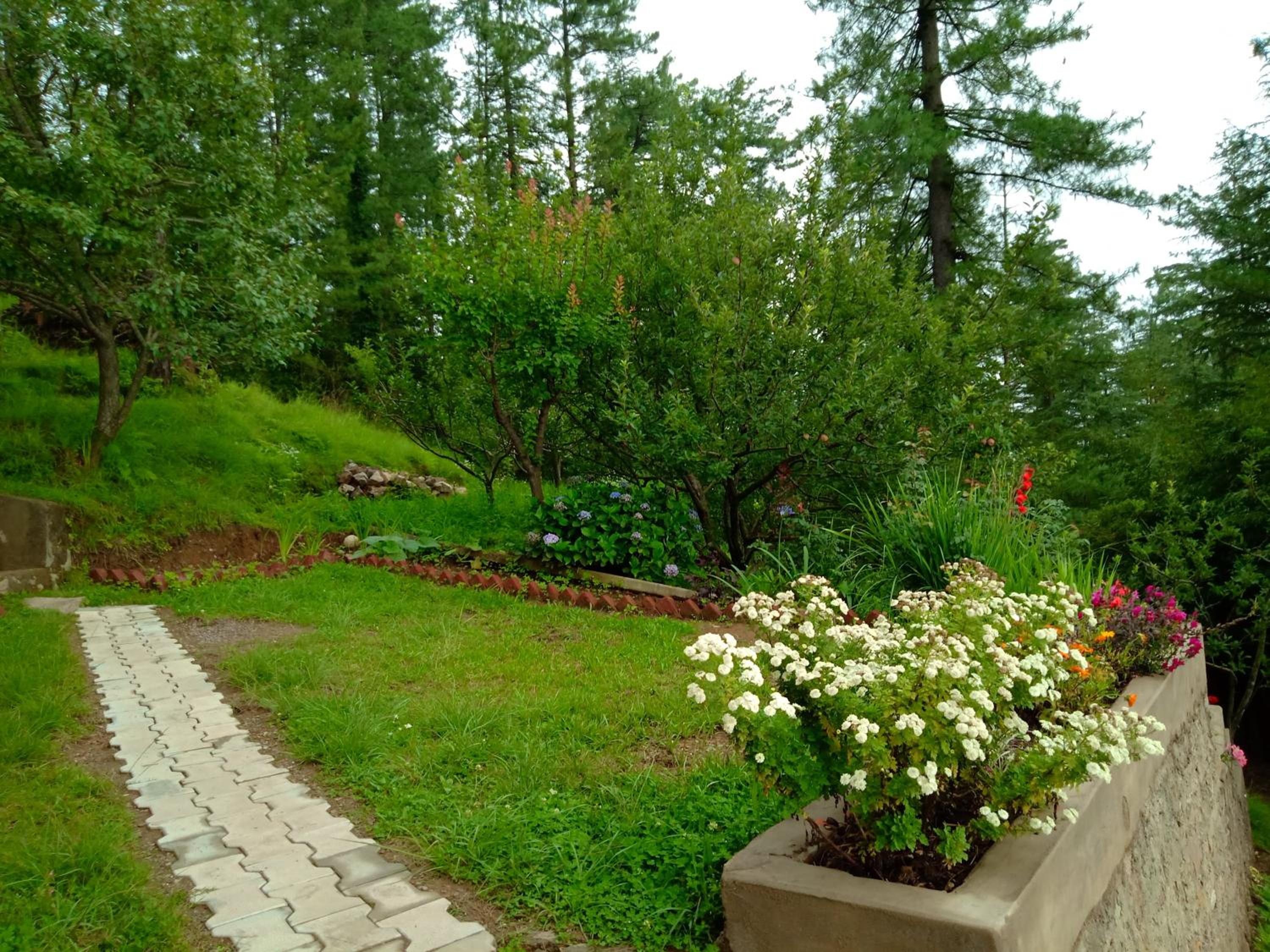 Merlin Grove Suites Simla view 5