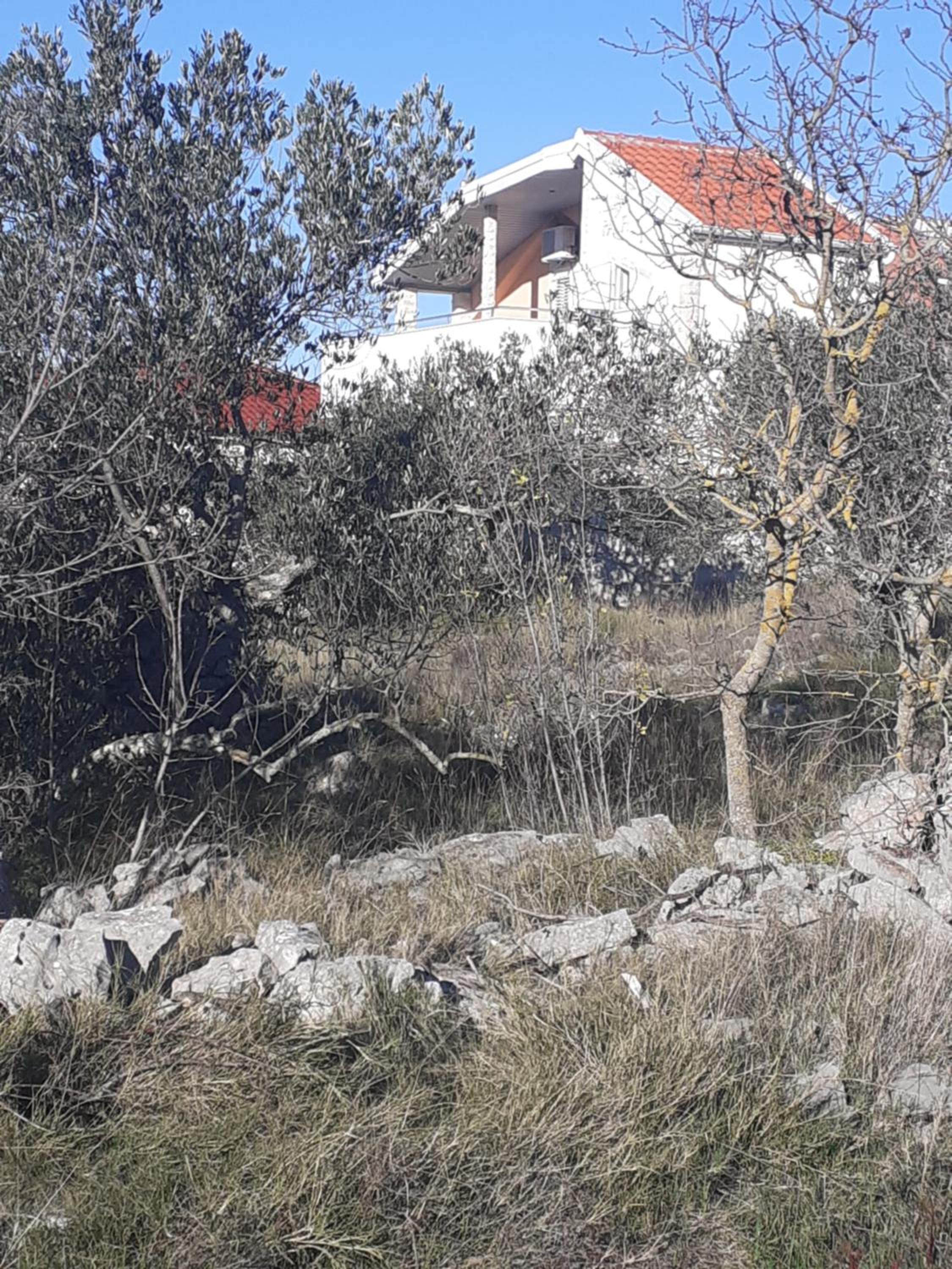 Photo 42
