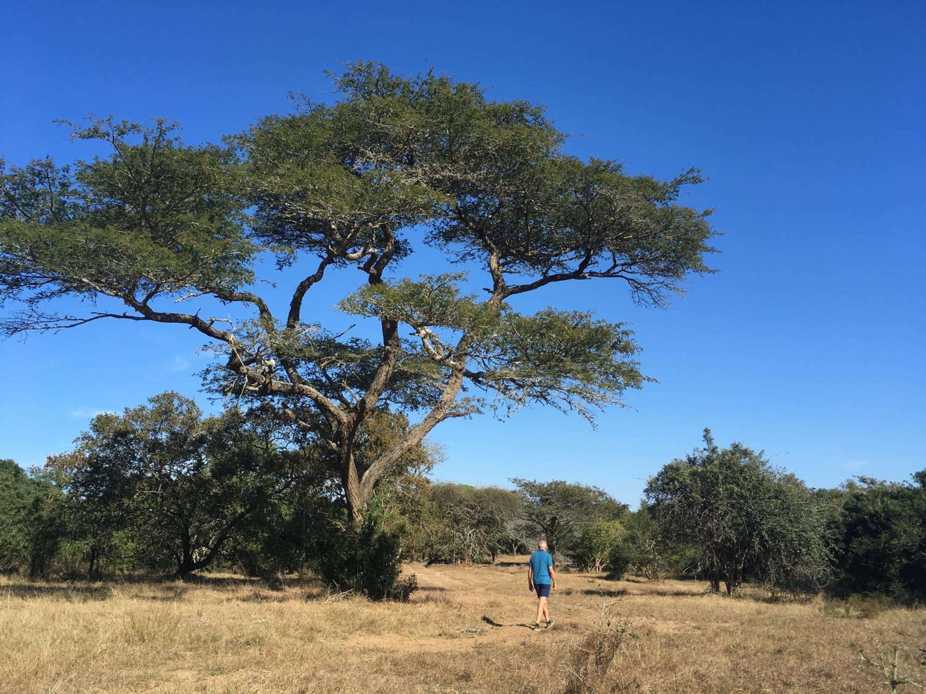 Umkhumbi Lodge