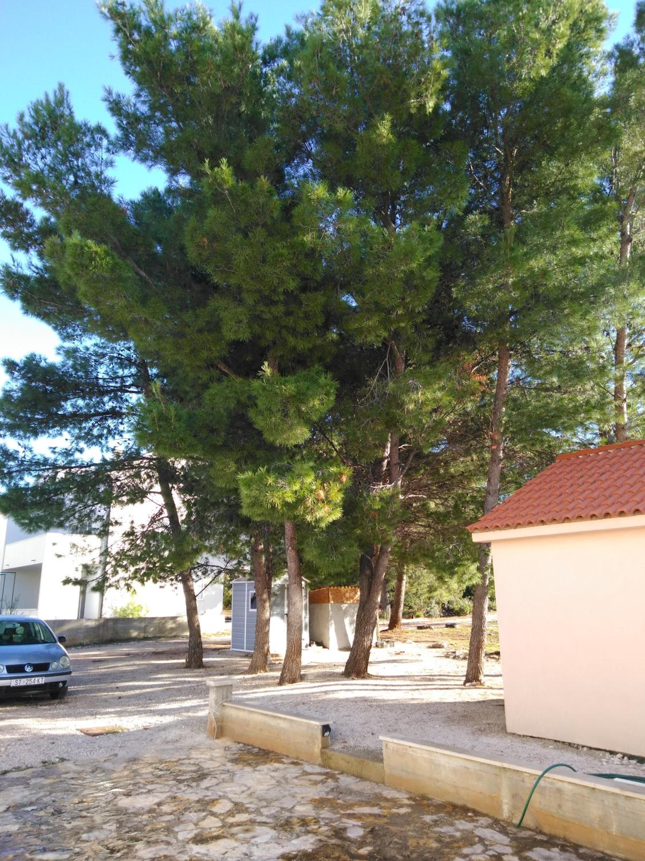 Photo 34