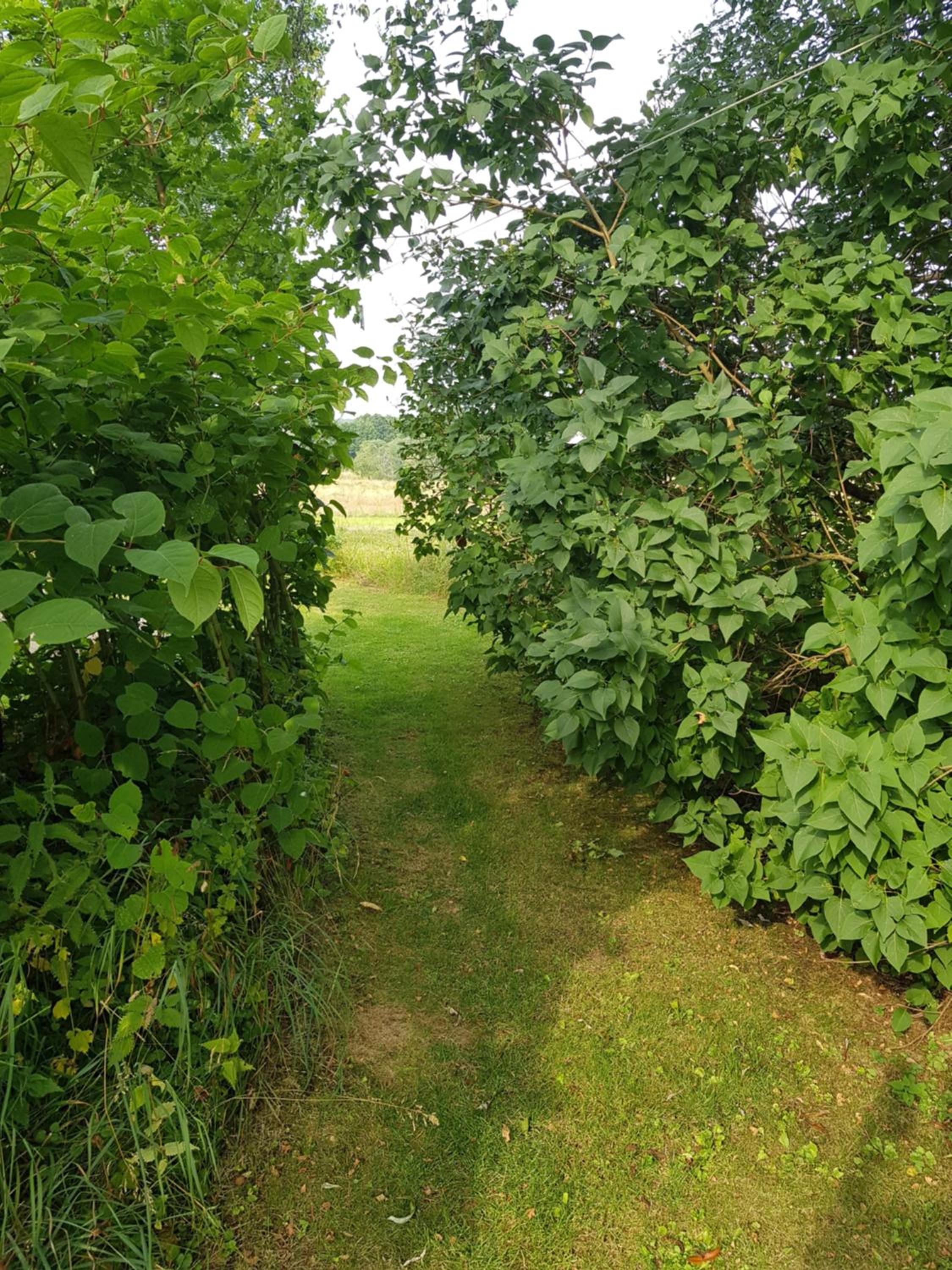 Photo 43