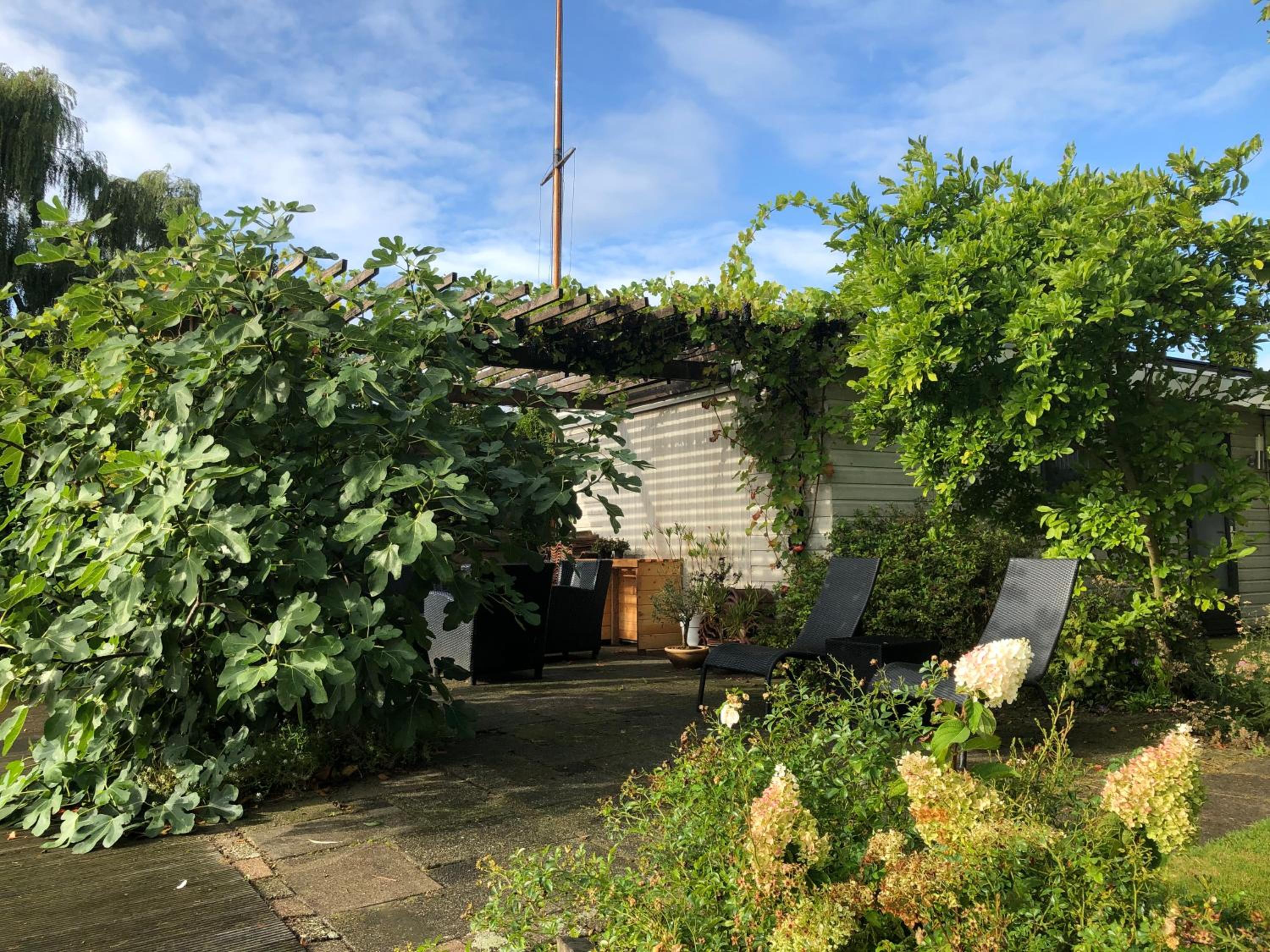 Photo 13