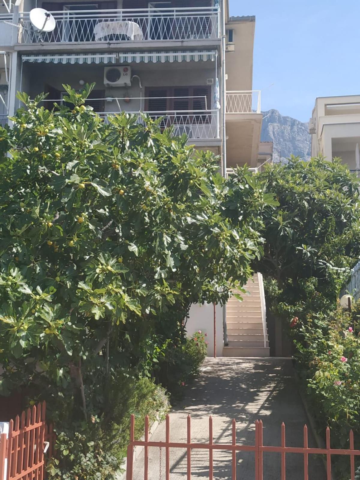 Pavlinović Jure view 3