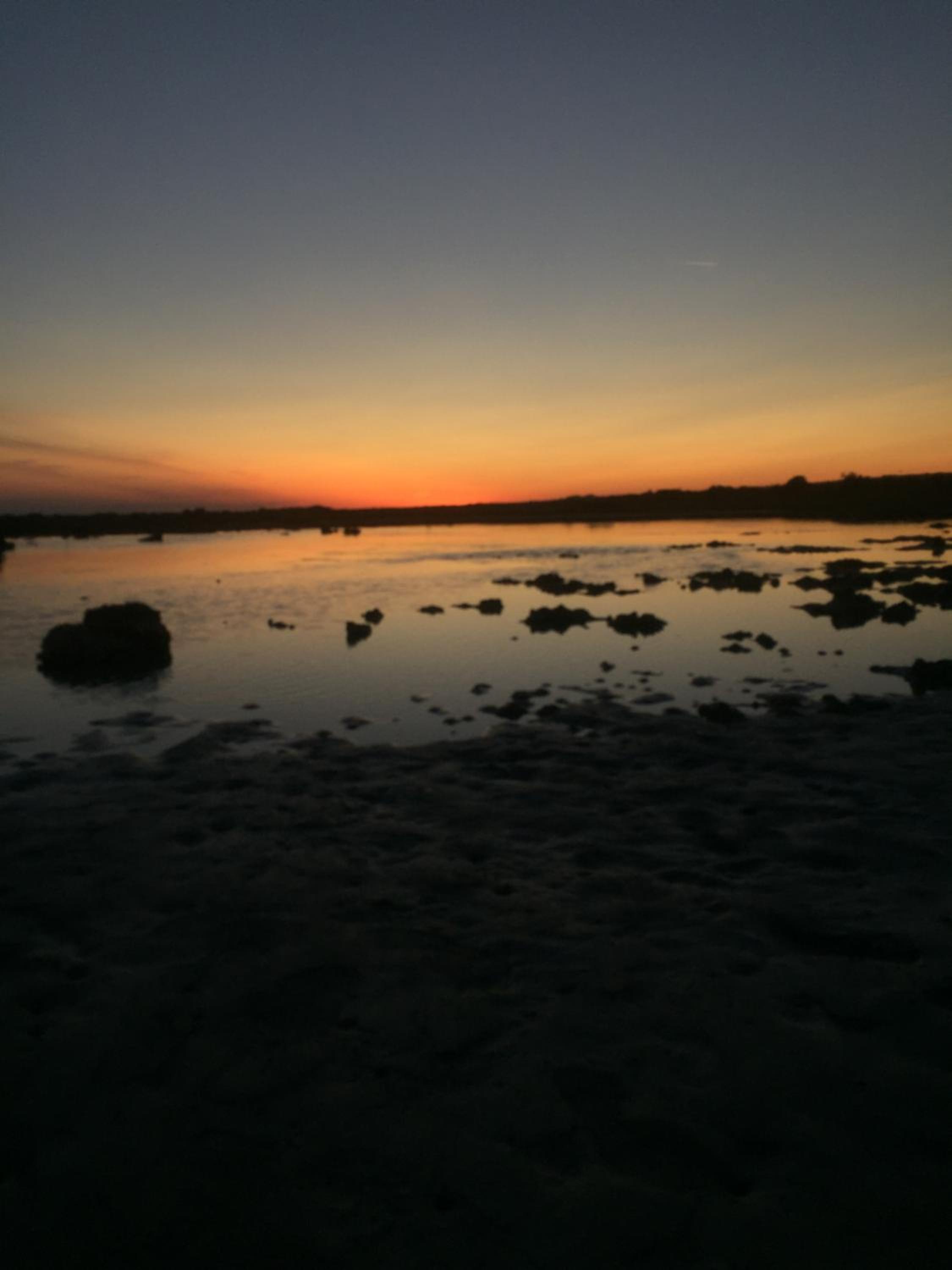 Sun Home, fotografía 5