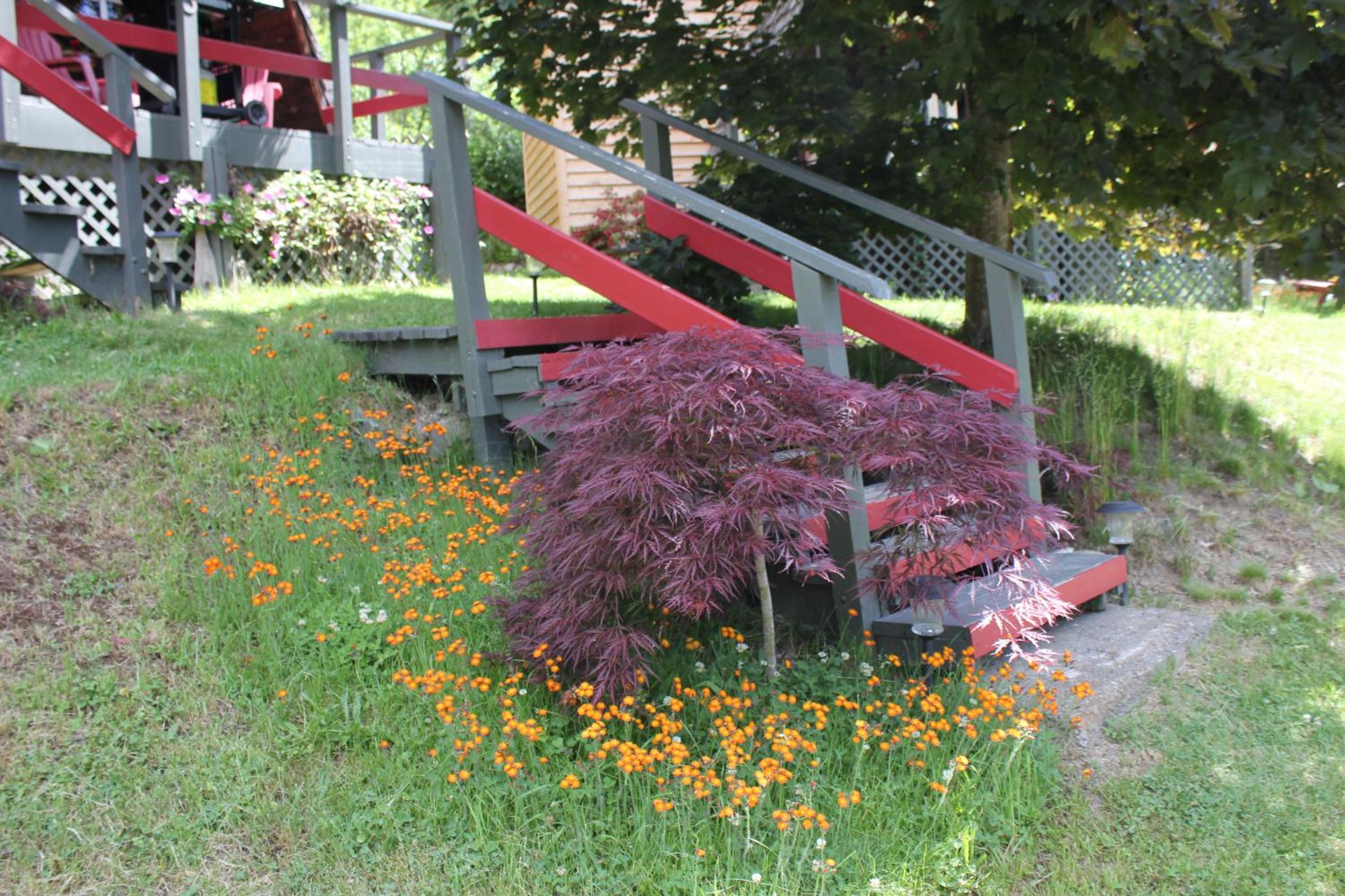 Photo 18