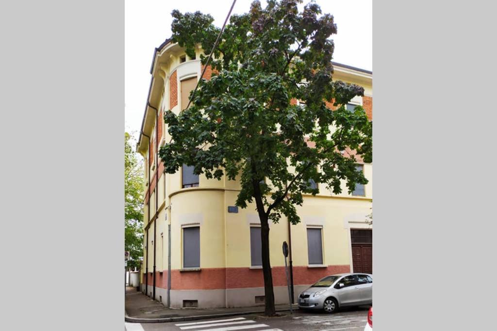 Piano nobile di Palazzo Vidmar in centro a Gorizia photo 5