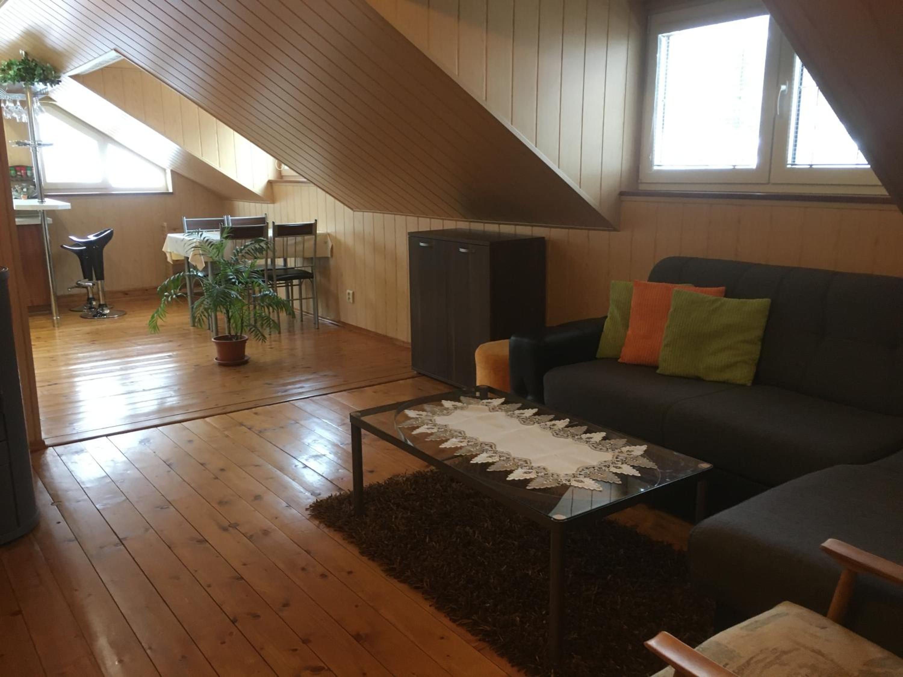 Apartman U Holica view 5